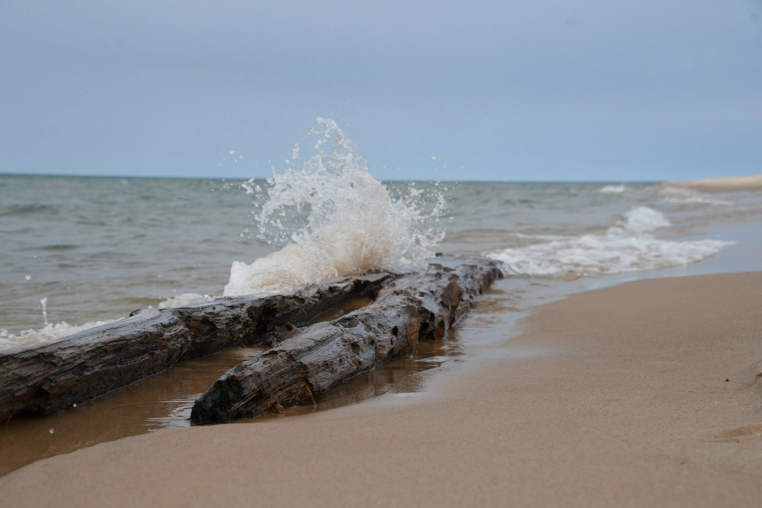DSC_5168.JPG