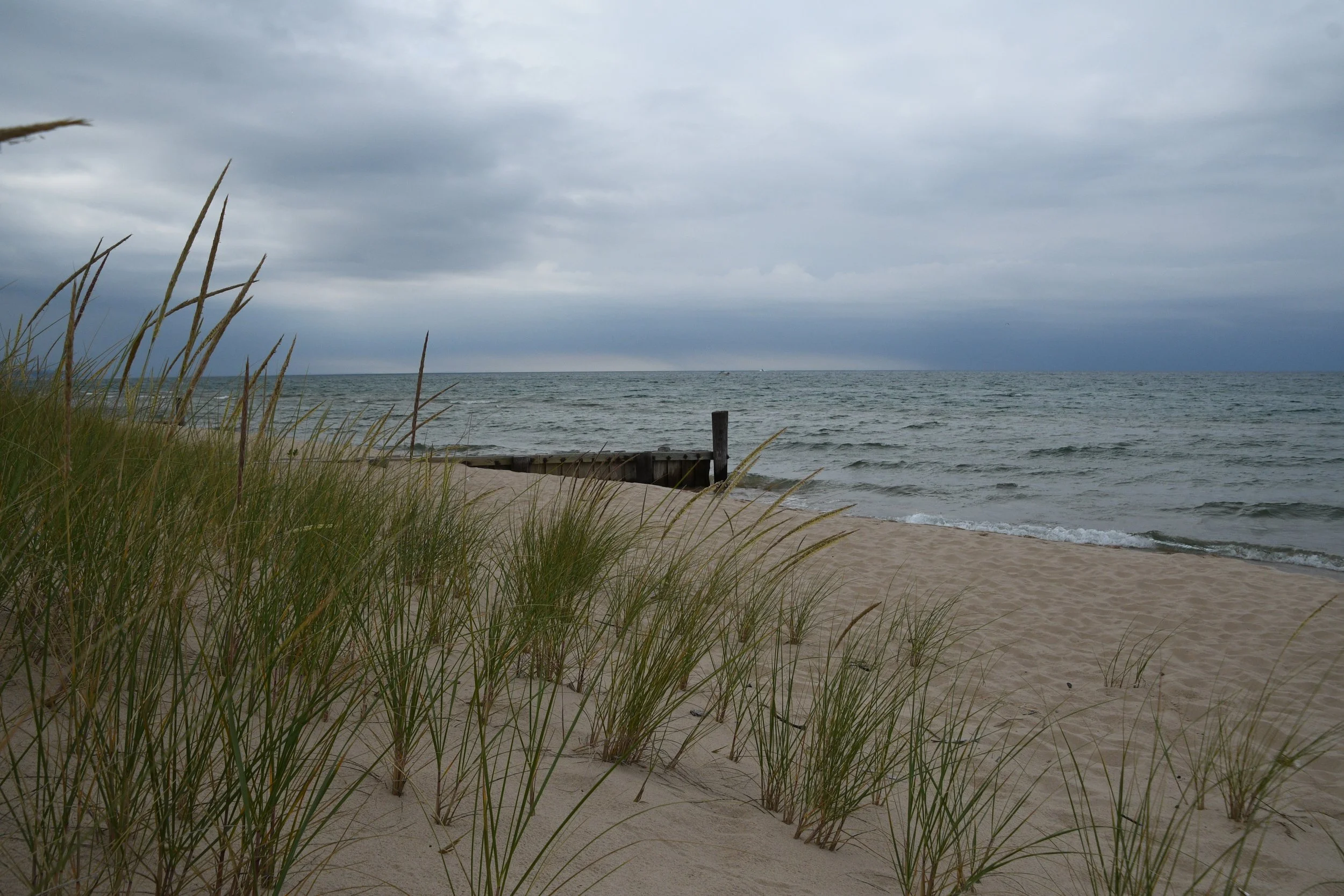 DSC_5420.JPG