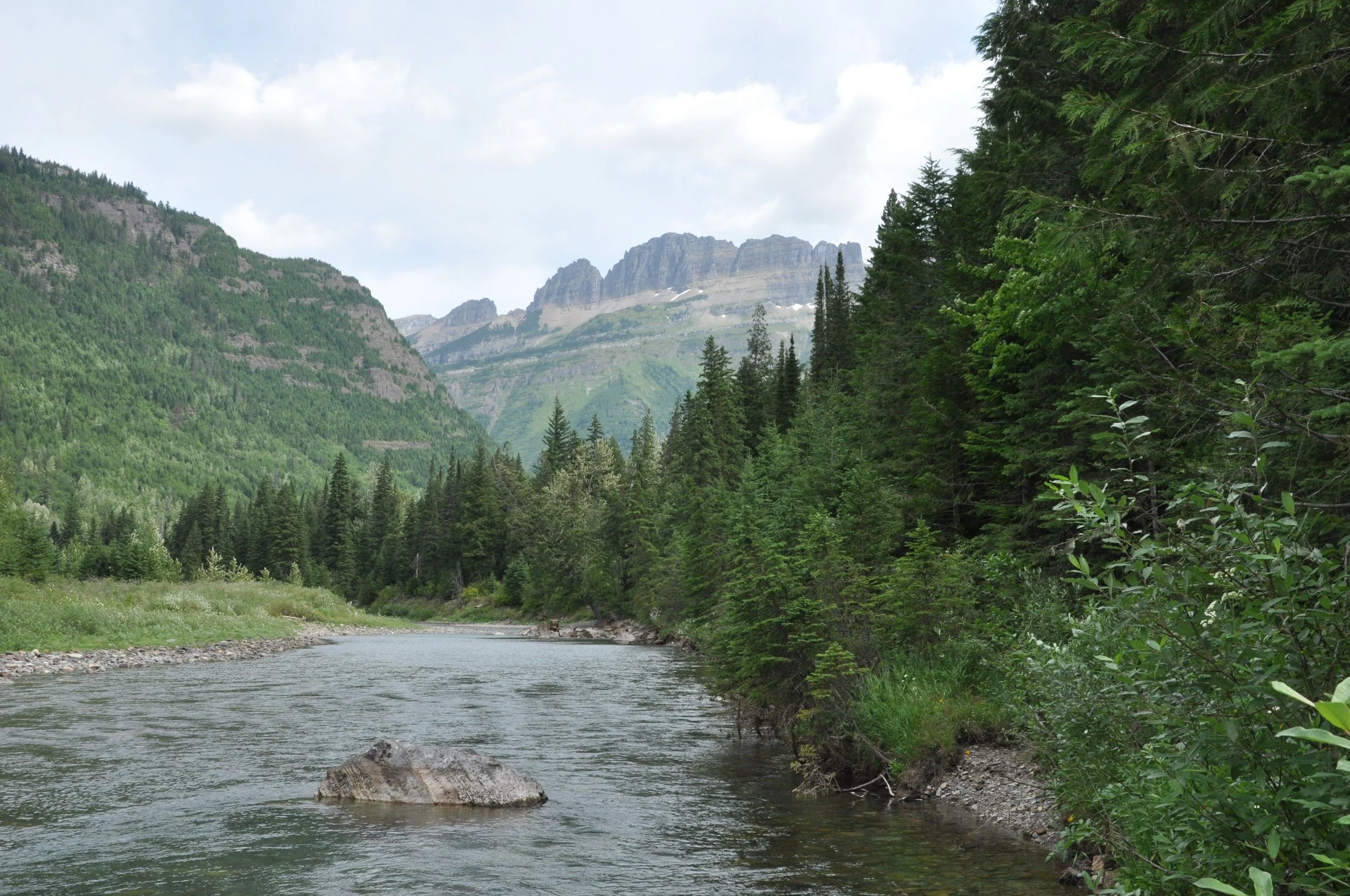 DSC_0960.JPG