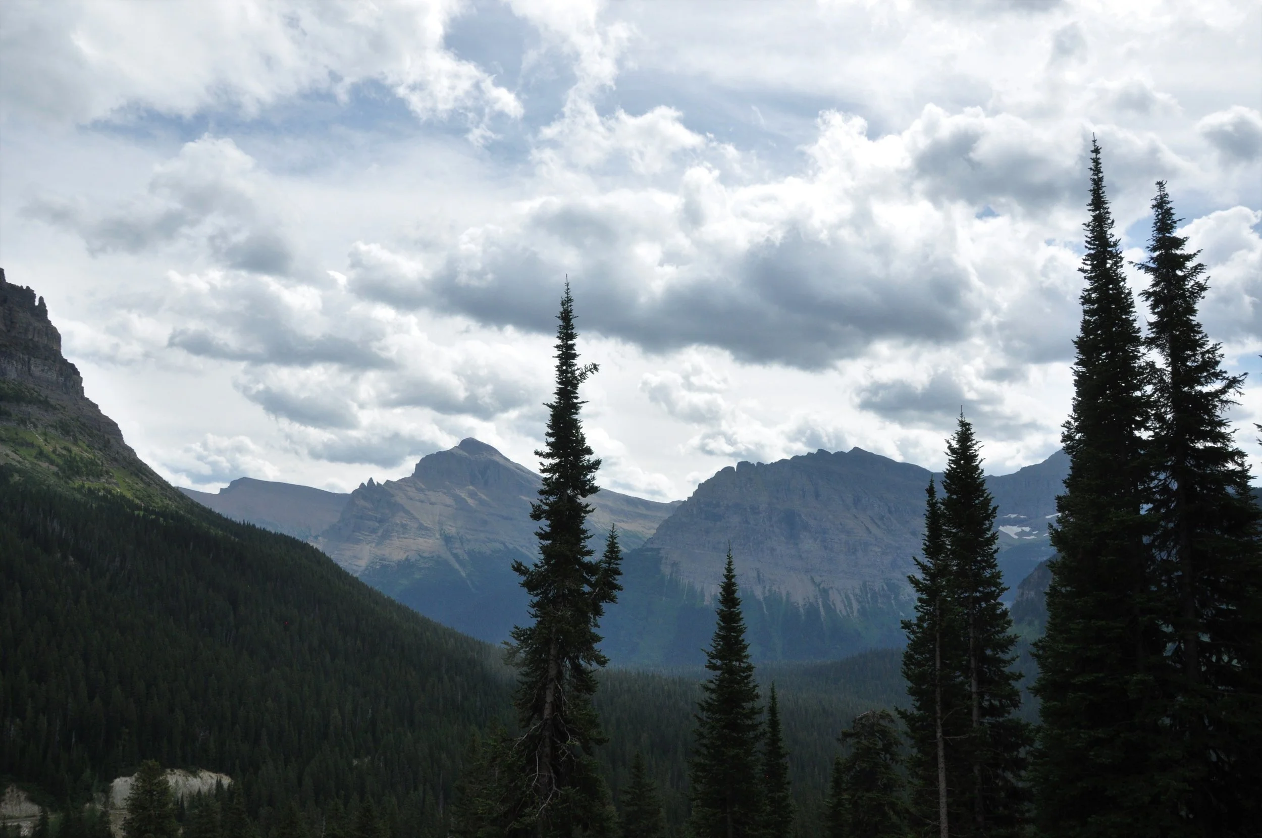 DSC_0045-2.jpg
