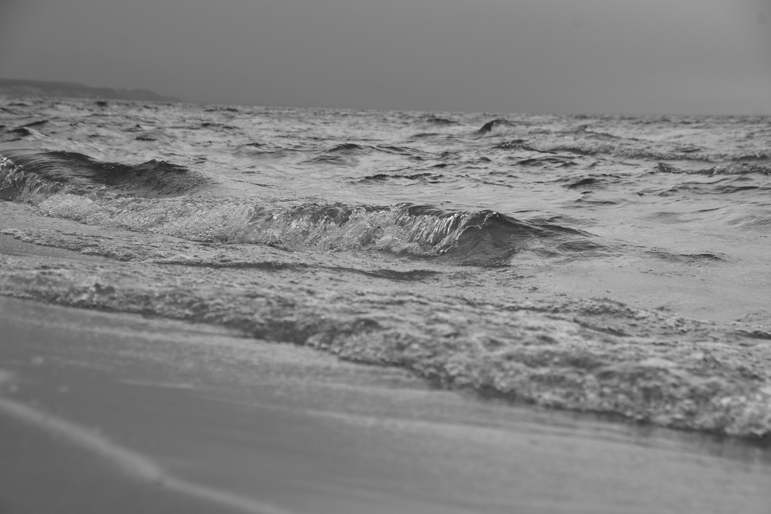 DSC_5474.JPG