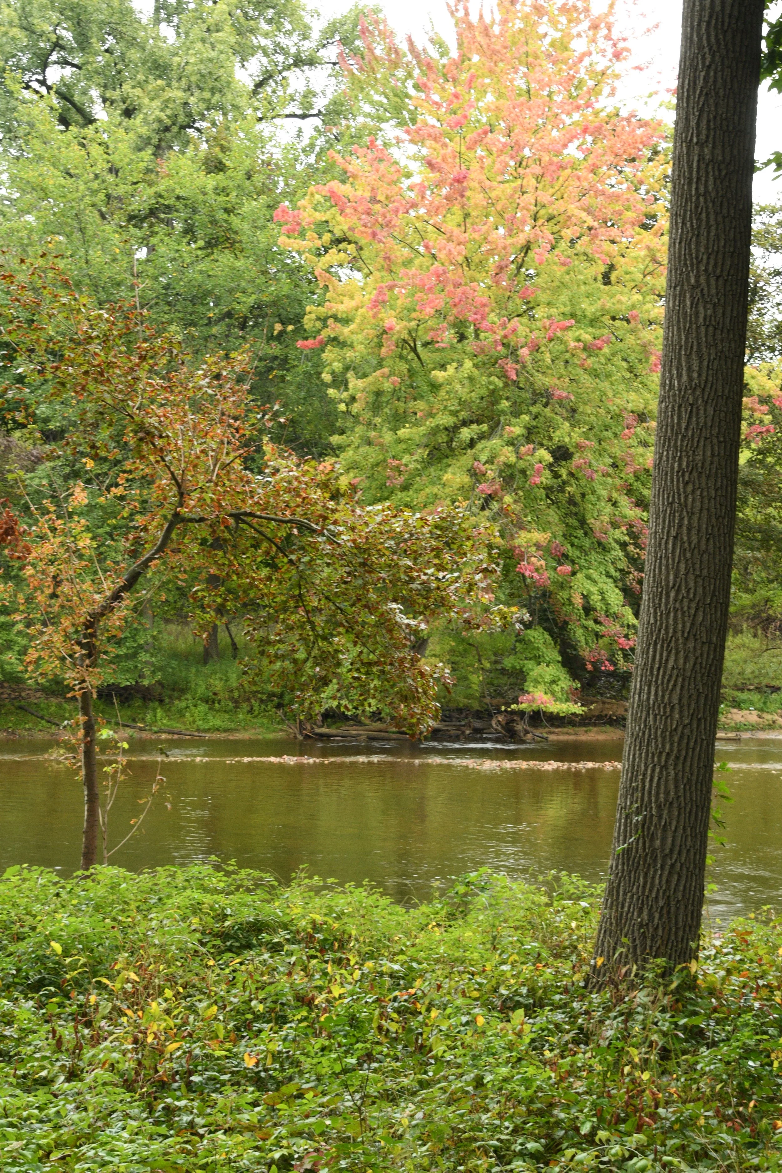 DSC_7182.JPG