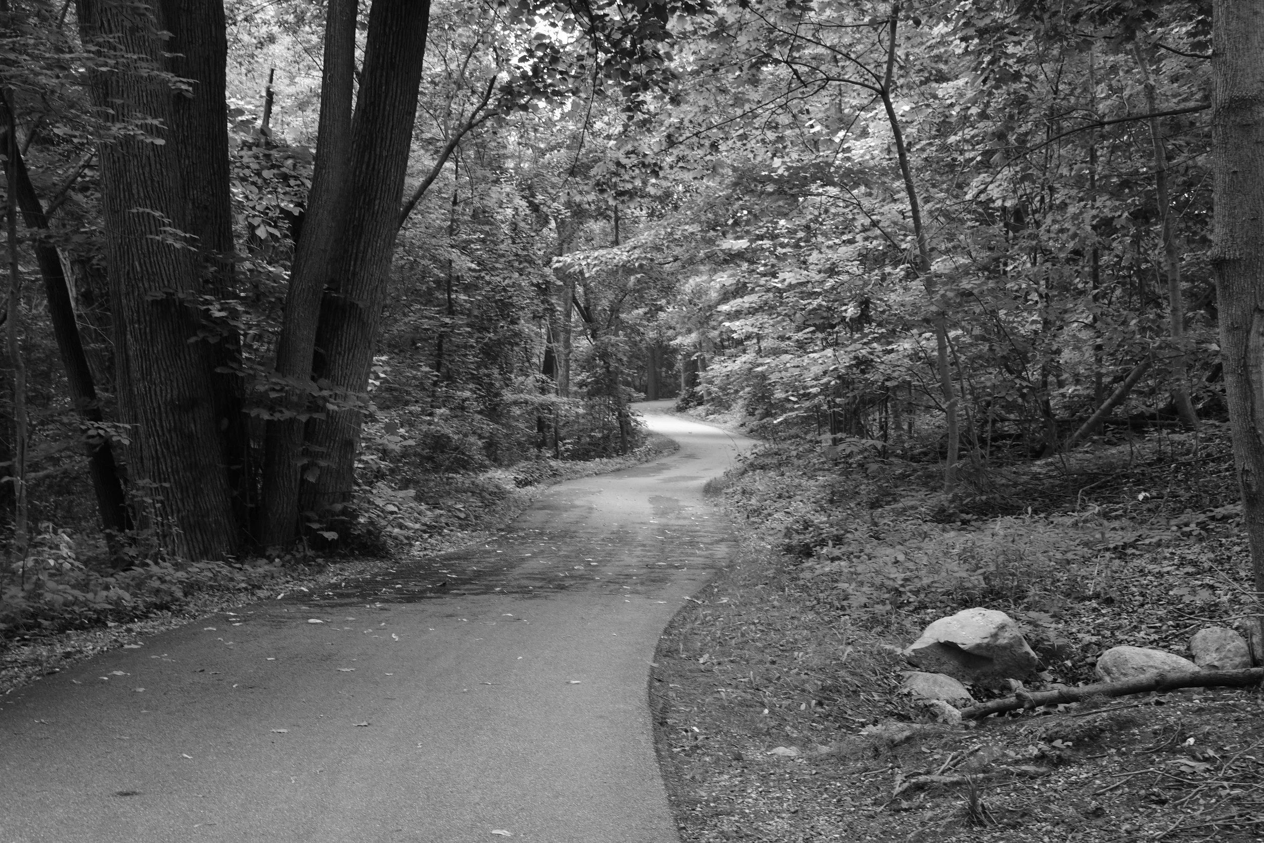 DSC_4650.JPG