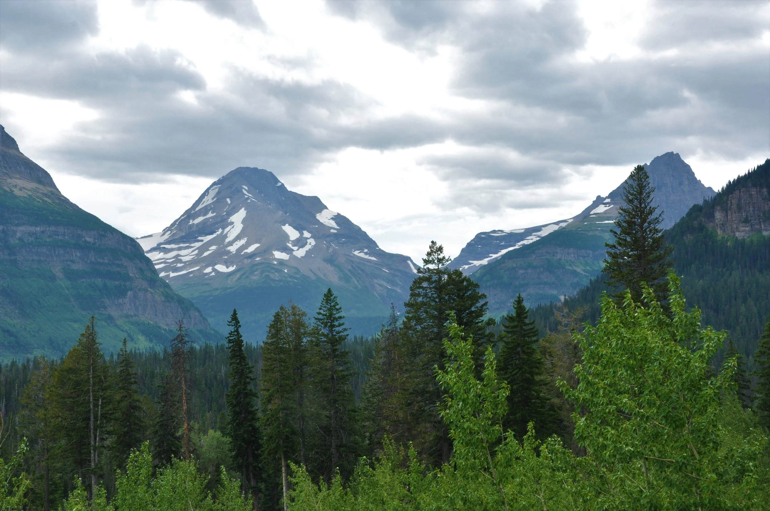 DSC_0091-2.jpg