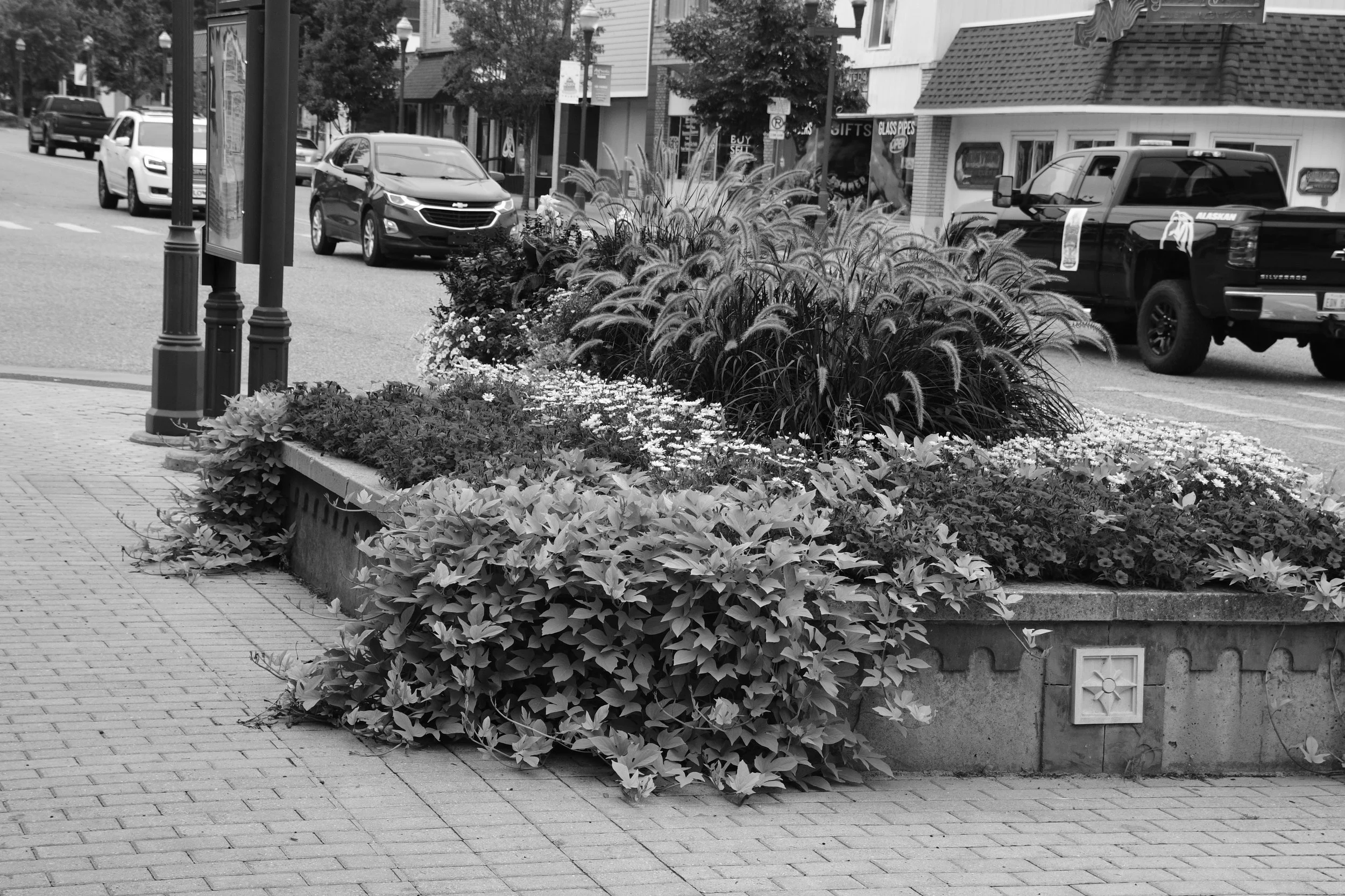 DSC_4695.JPG