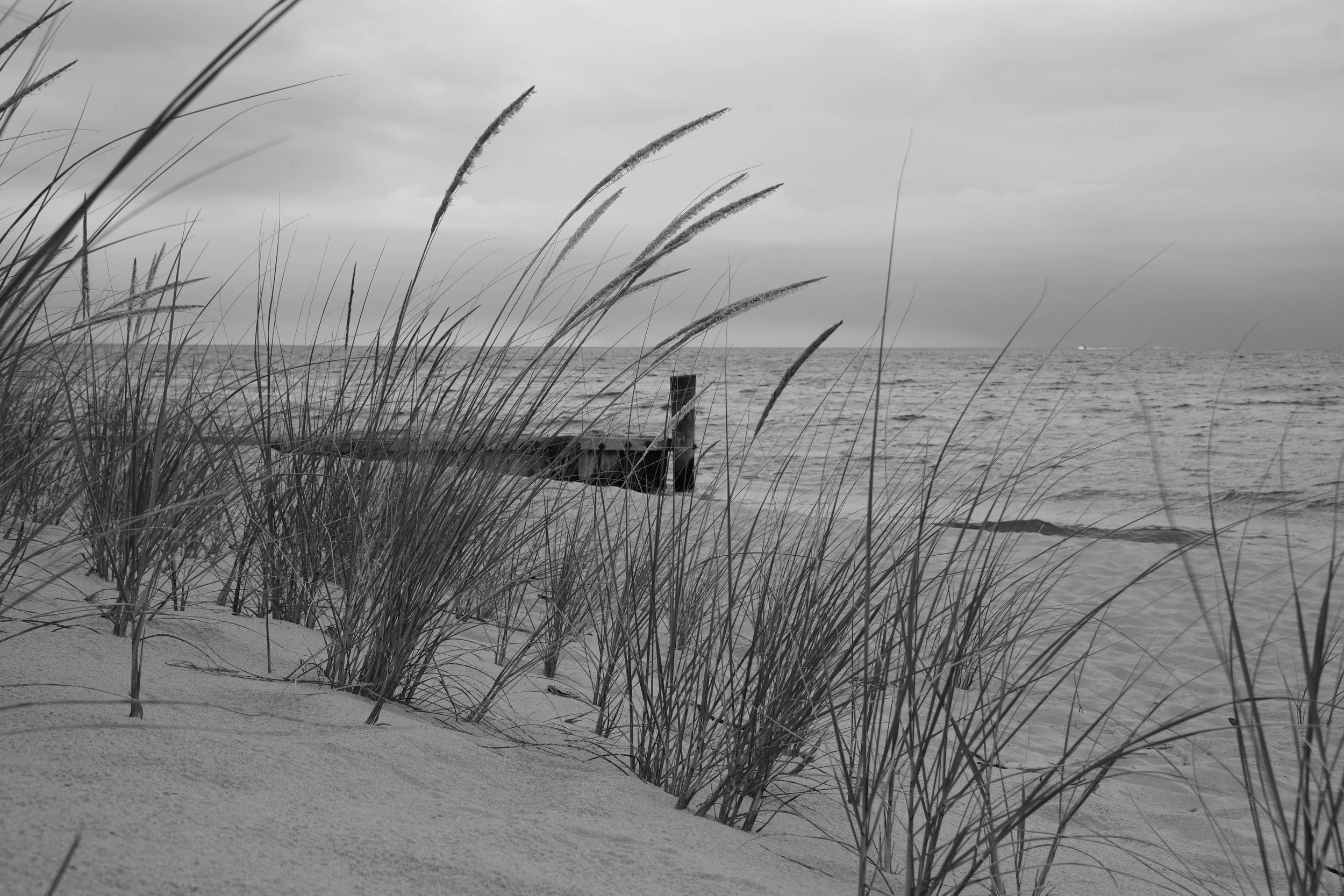 Beach Day - Ludington State Park