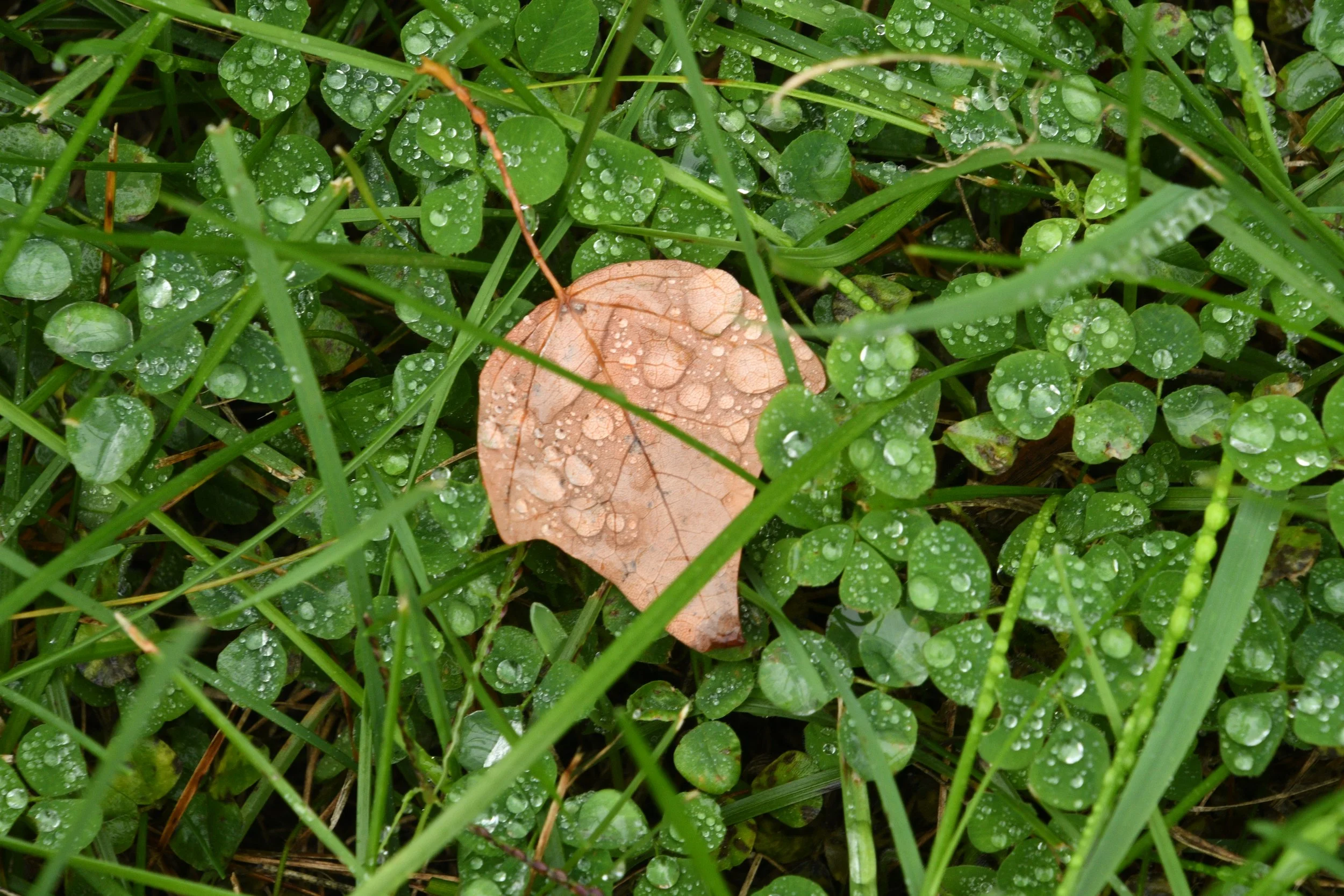 After the Rain