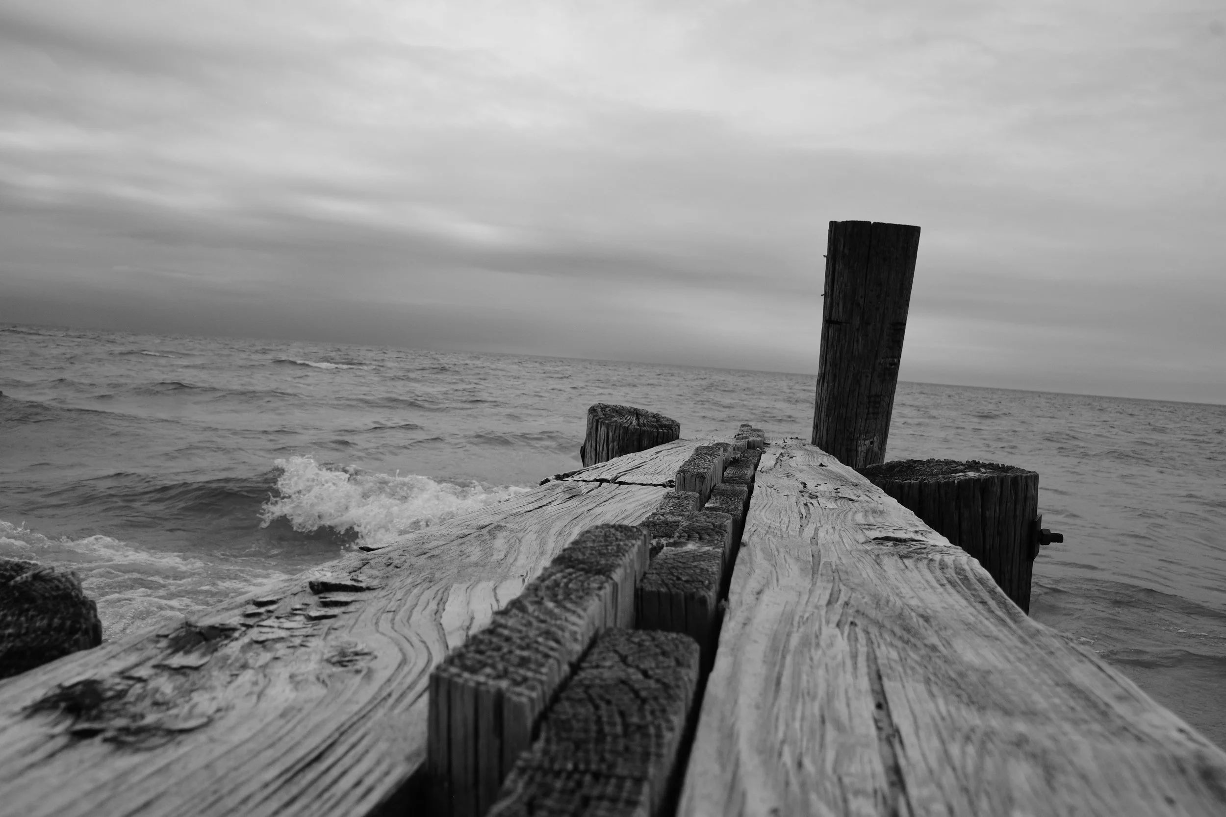 DSC_5321.JPG