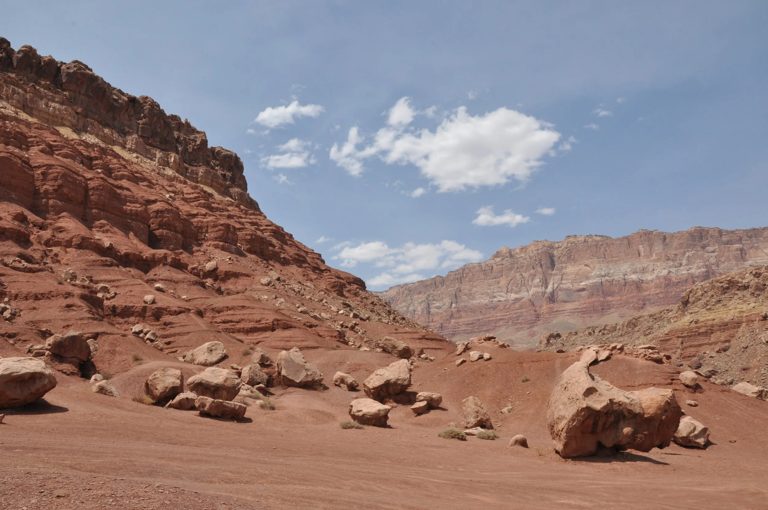 DSC_0905.JPG