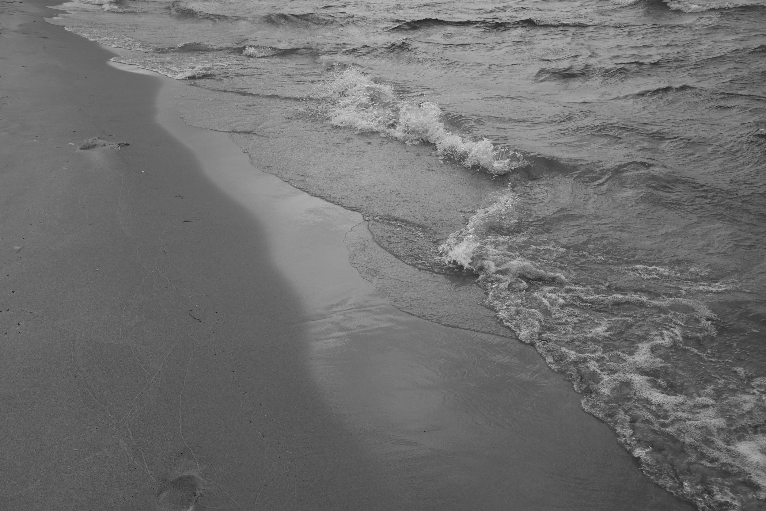 DSC_5469.JPG