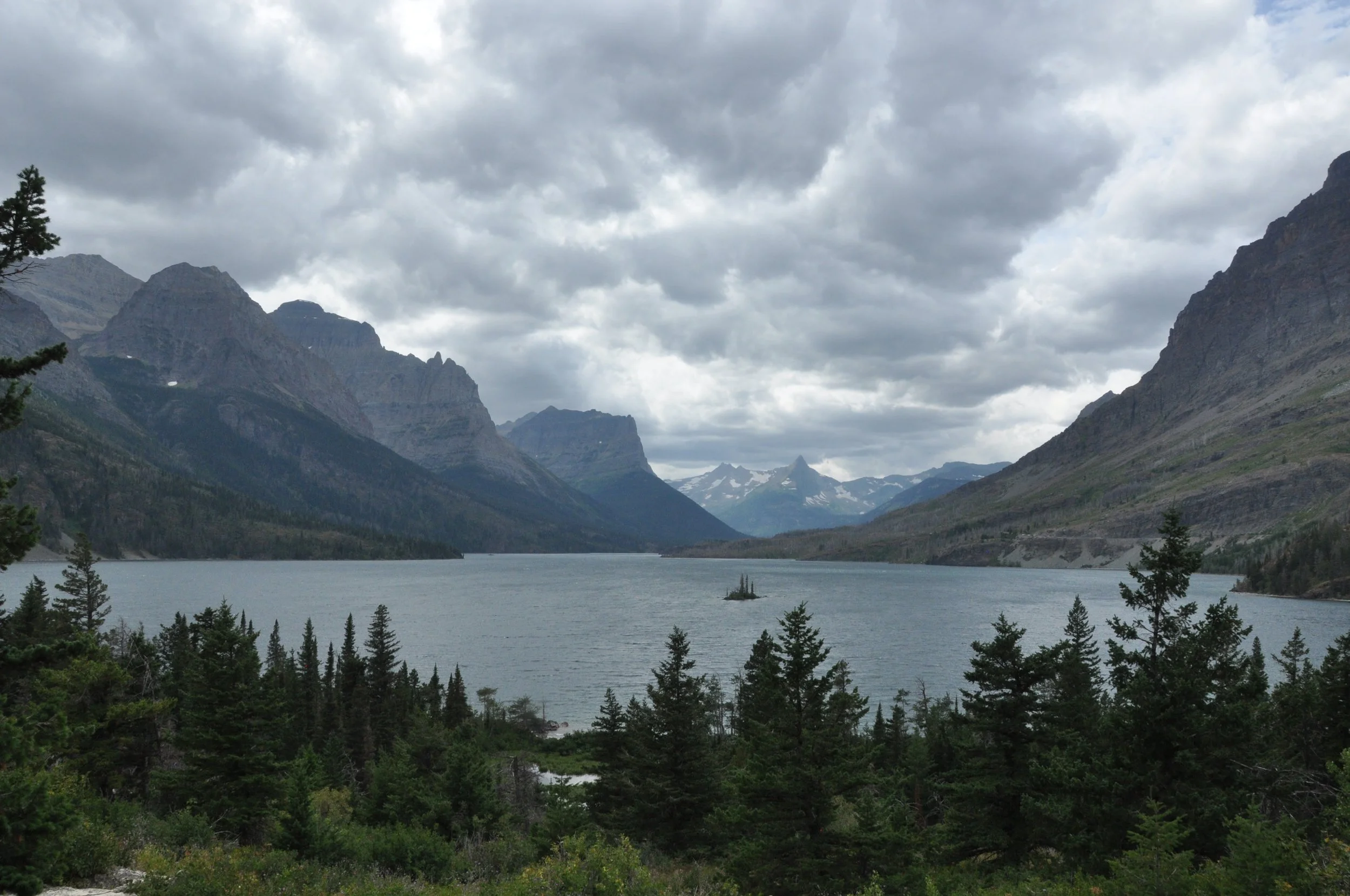 DSC_0131.JPG