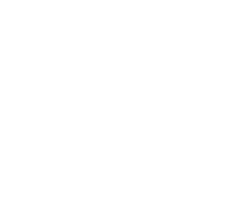 Sawyer Travel