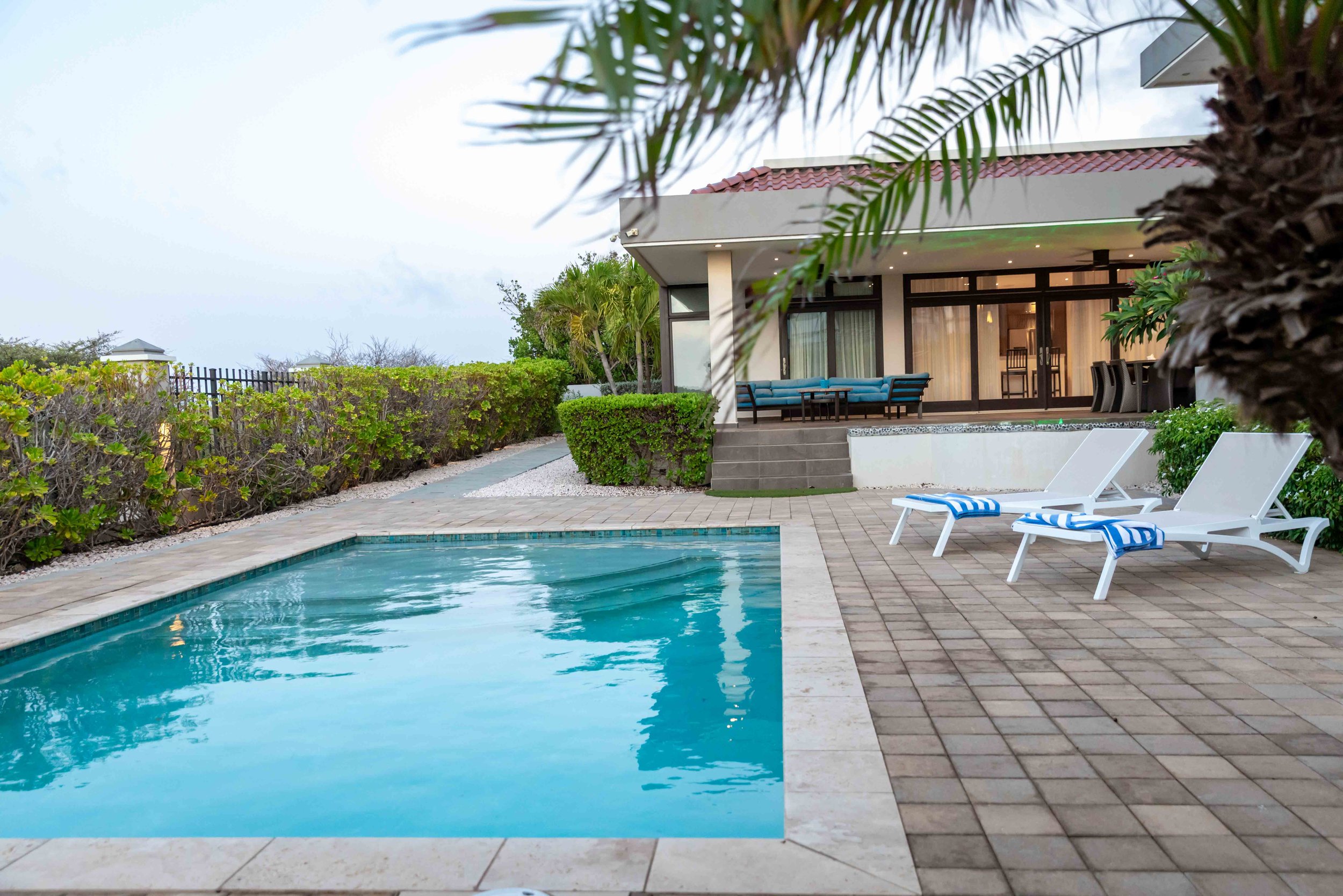 Visit Noord Aruba -2N6A8824.jpg
