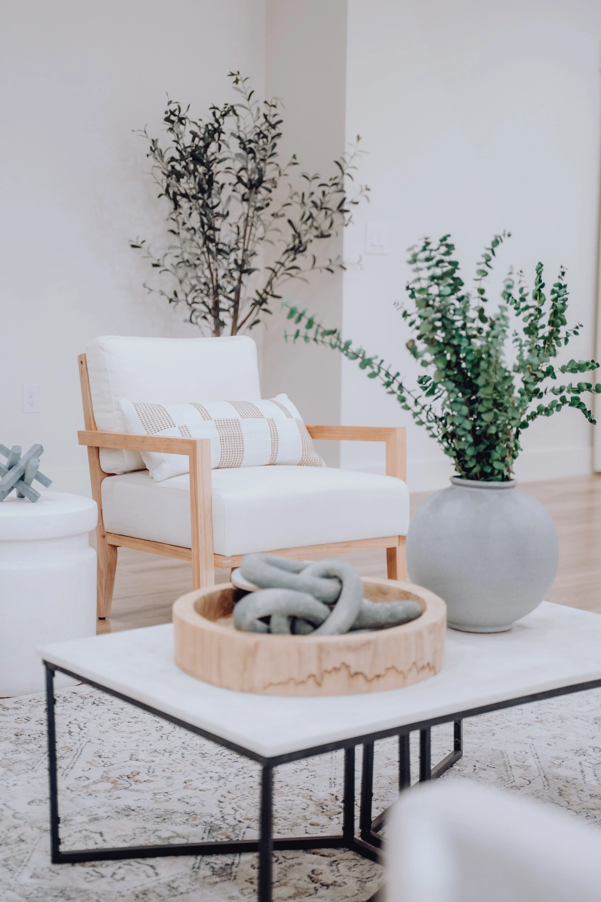 Living room with white and wood furniture, potted plants, coffee table with decorative objects, and a patterned rug.