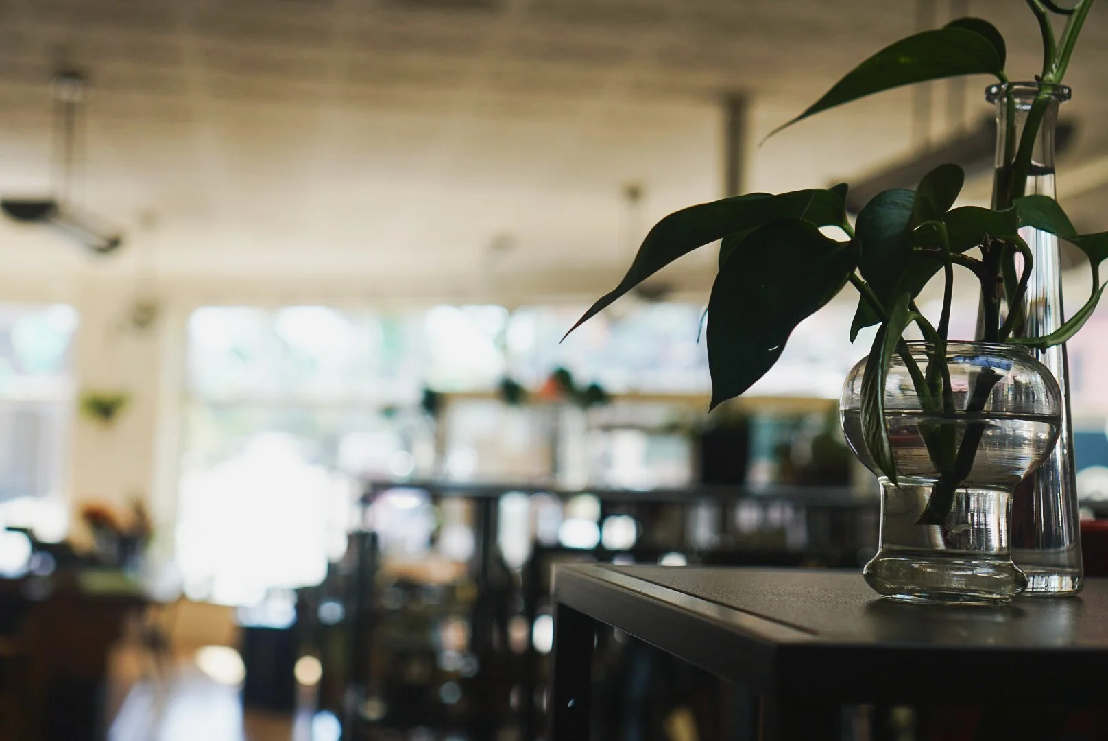 A glass vase with green leaves and water, placed on a table or counter inside a well-lit room with large windows and blurry background of furniture and decor.