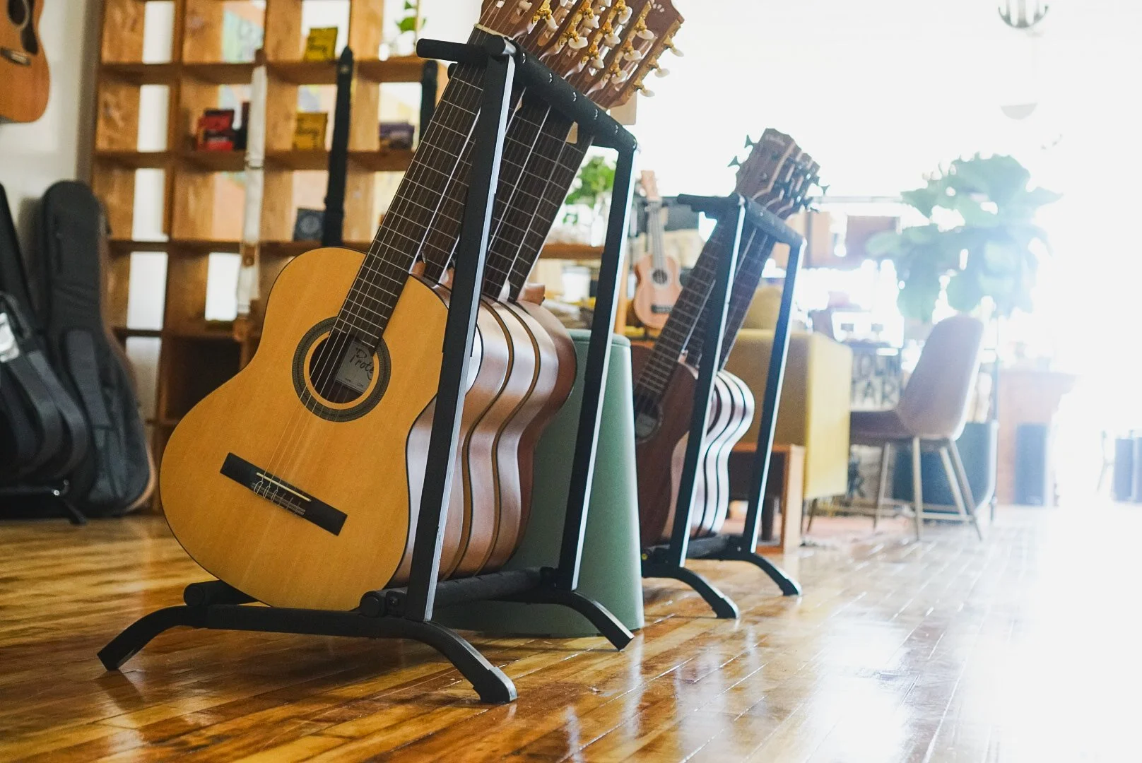 Multiple acoustic guitars on black stands inside a cozy, well-lit room with wooden floors and bookshelves.