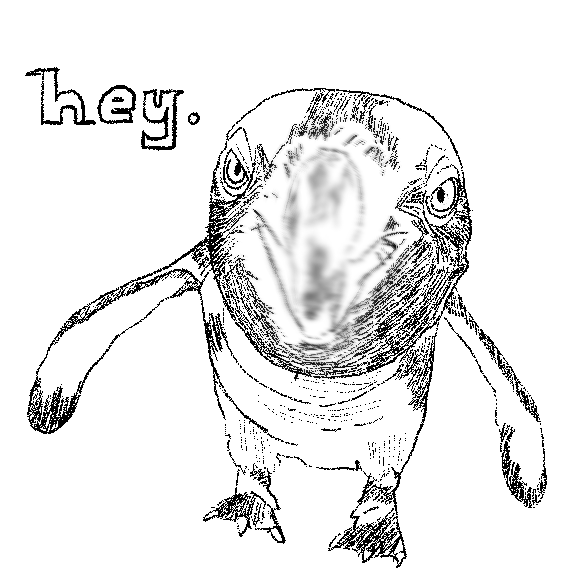 IMG_0249.PNG