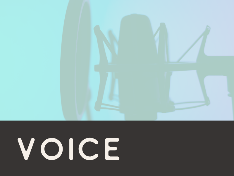 A close-up of a microphone in a recording studio with the word 'VOICE' written at the bottom.