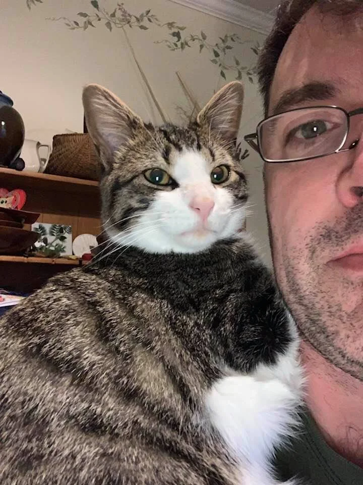 A close-up of a man with glasses and a beard next to a tabby cat with white and gray fur, both looking at the camera, indoors with a wooden shelf in the background.