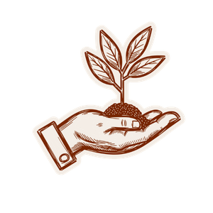 A hand holding soil with a small plant growing out of it.