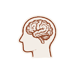 Outline of a human head in profile with a detailed brain illustration inside.