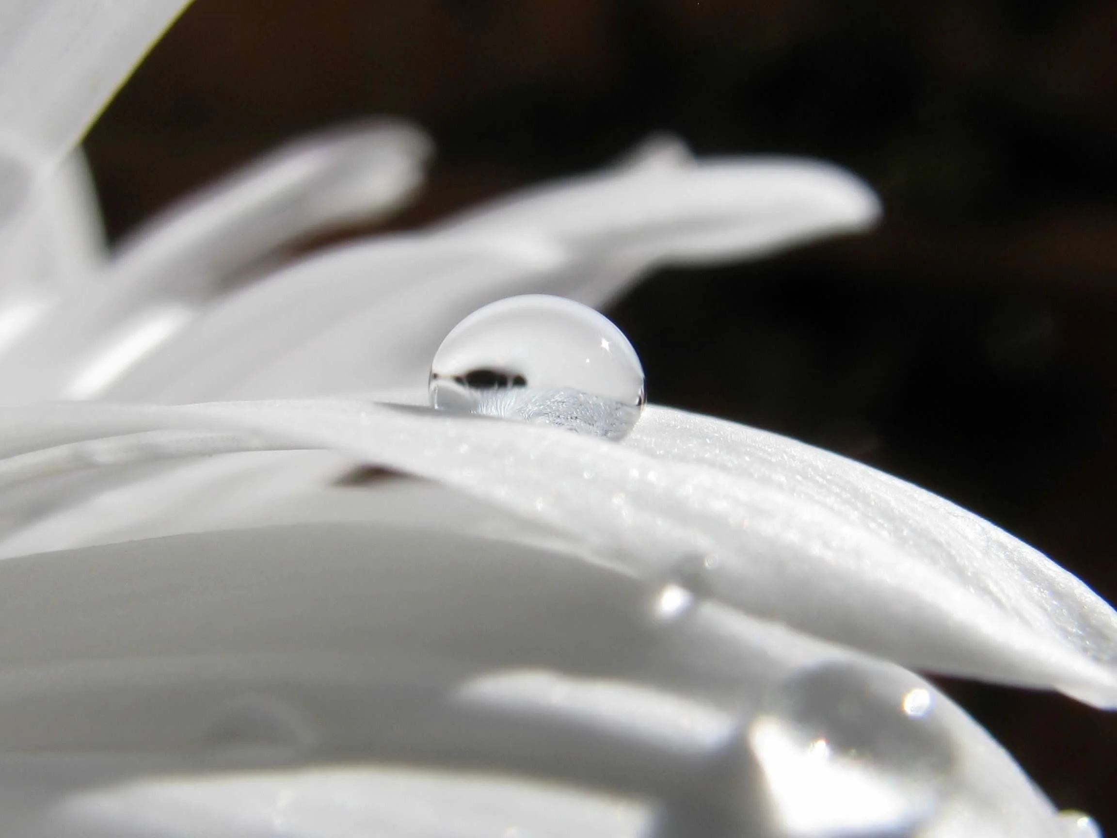 droplet.jpg