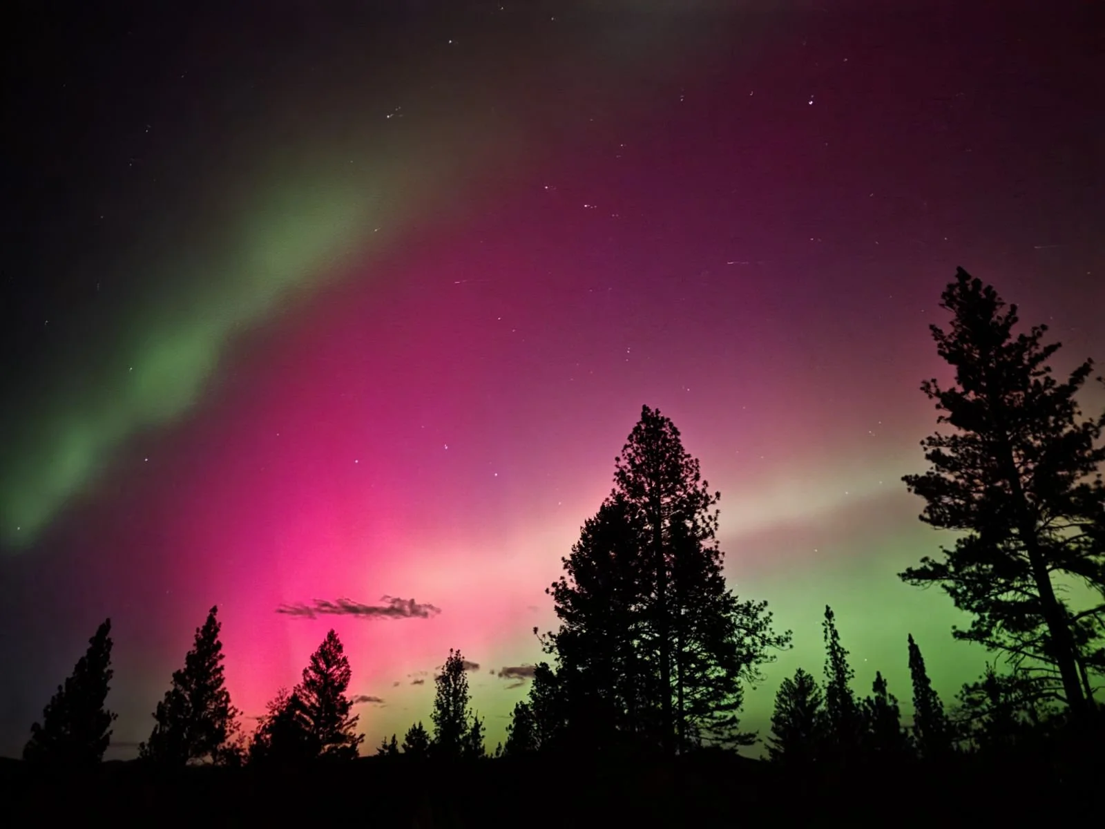 northernlights.jpeg