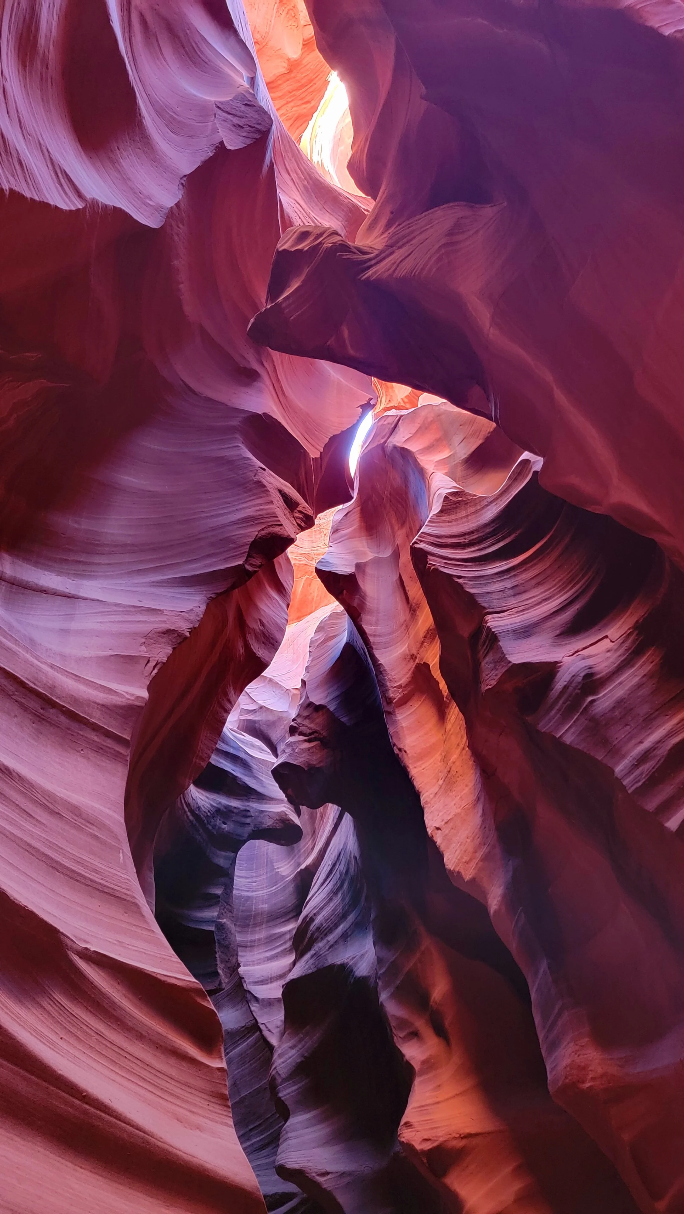 Narrow slot canyon walls with smooth, flowing shapes and warm reddish hues, sunlight shining through the top opening.
