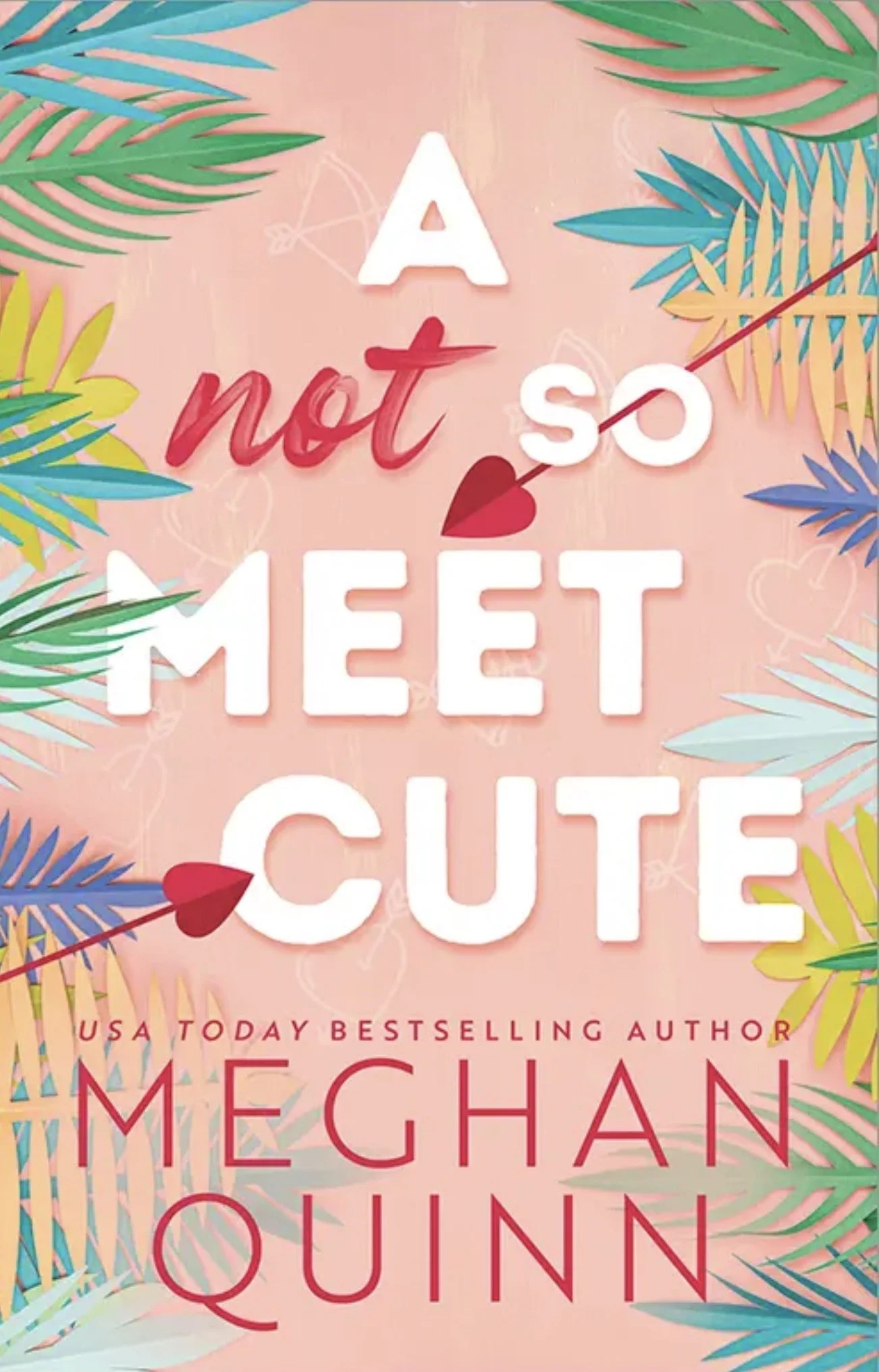 A Not So Meet Cute by Meghan Quinn