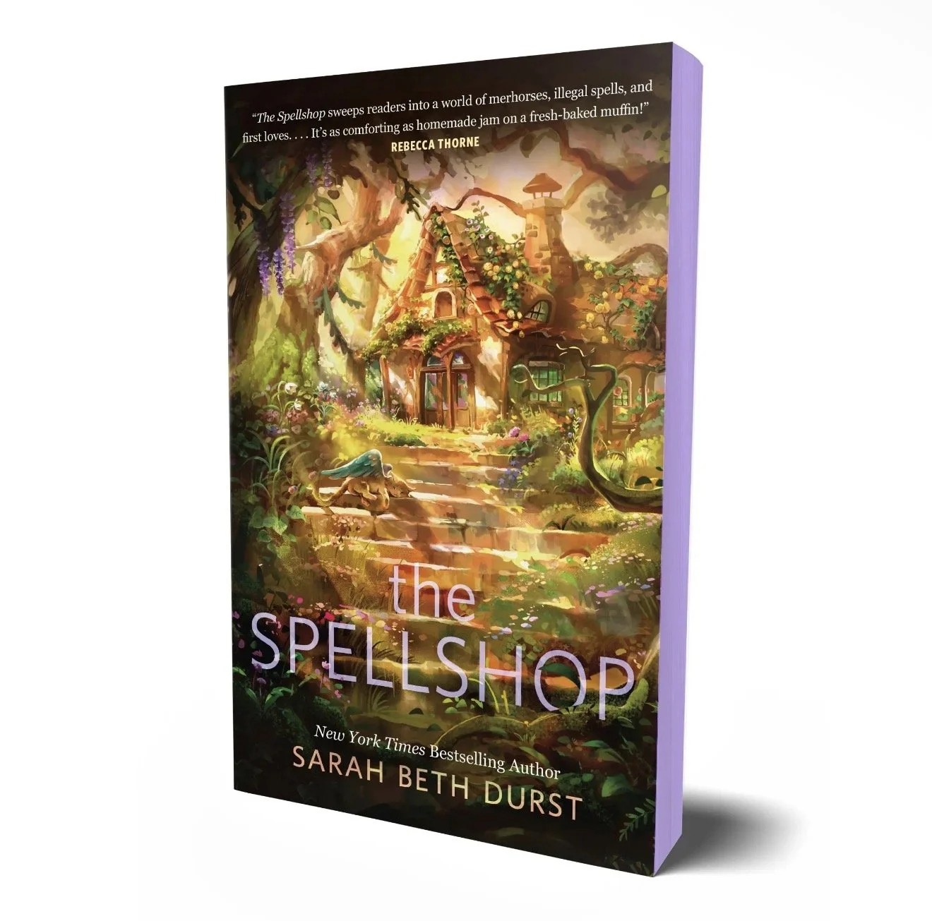 The Spellshop by Sarah Beth Durst