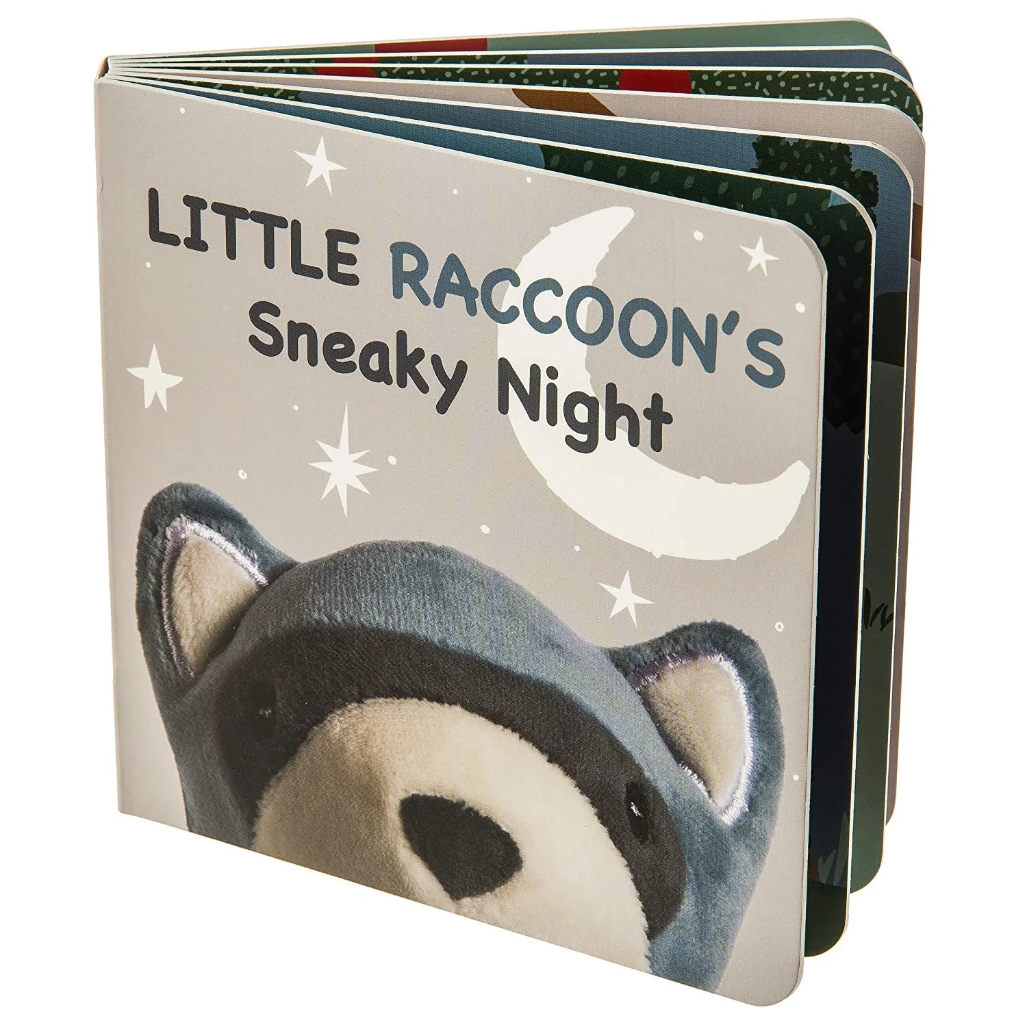 Little Raccoon's Sneaky Night