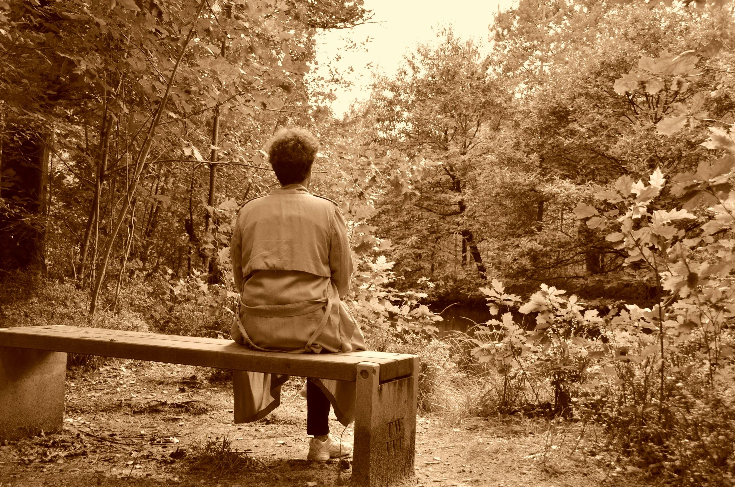 A person sitting on a bench in a wooded park, facing away from the camera, during daytime.