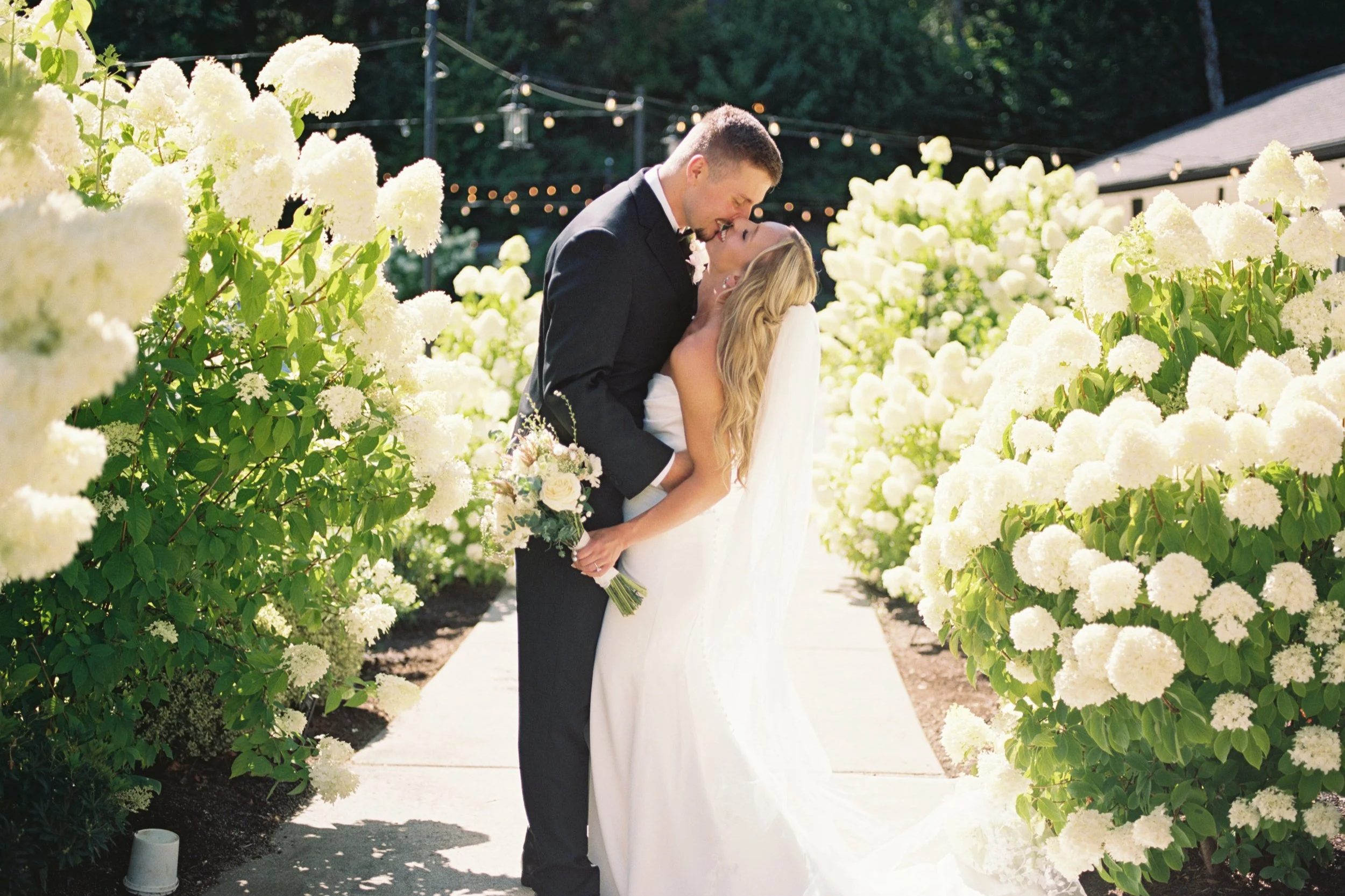 A bride and groom share a kiss in an outdoor wedding, surrounded by white hydrangea bushes and string lights.