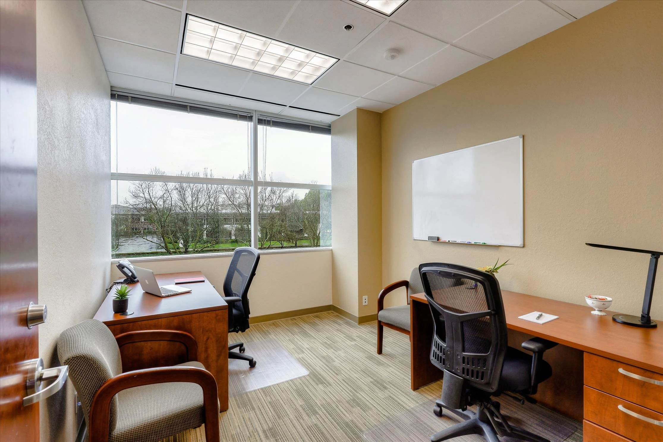 An office conference room with a large window showing trees outside, beige walls, a whiteboard, and wooden desks with chairs, plants, and office supplies.
