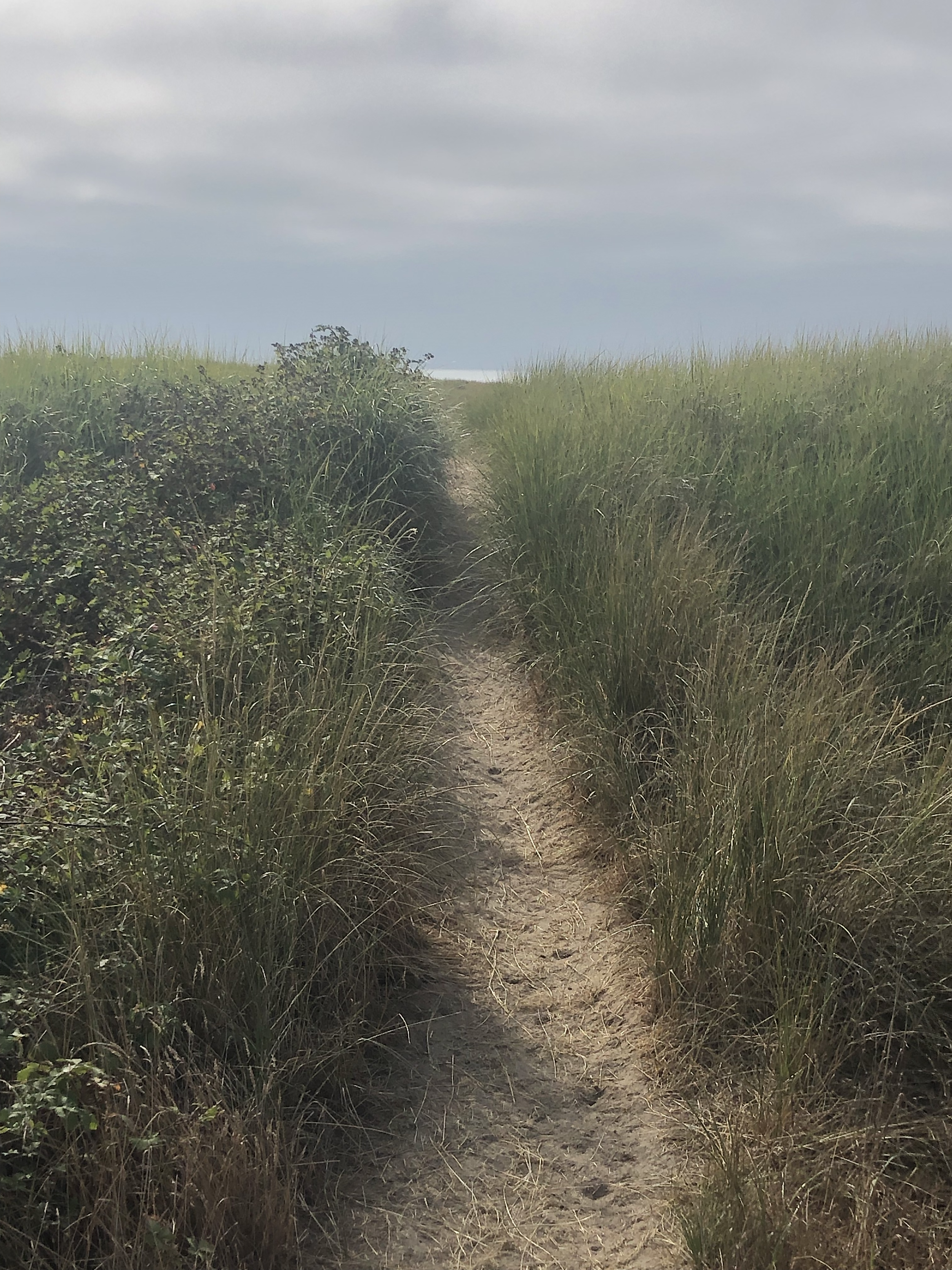 A narrow sandy path through grassy dunes under a cloudy sky.