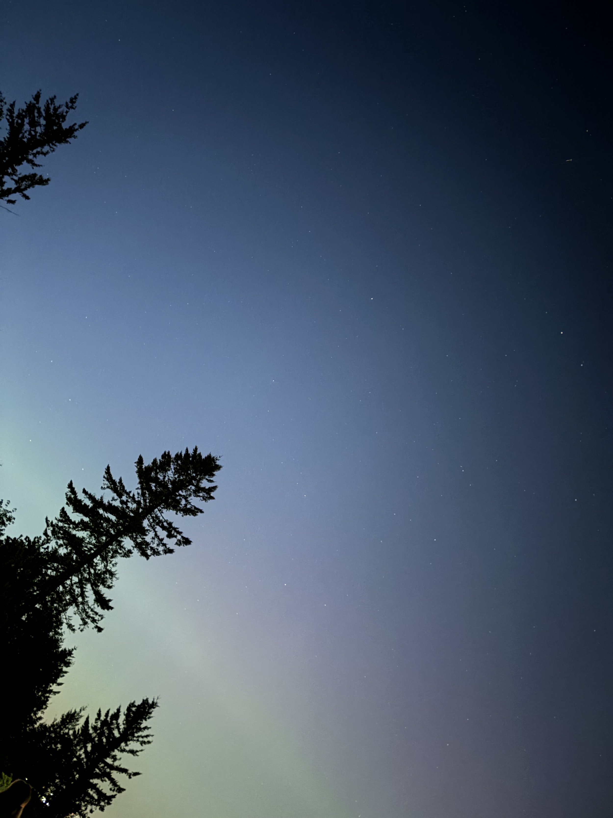Night sky with scattered stars and silhouette of tall trees in the foreground.  Don't go through it alone.  Reach out for help and contact Tracy Bryce Farmer LCSW now.