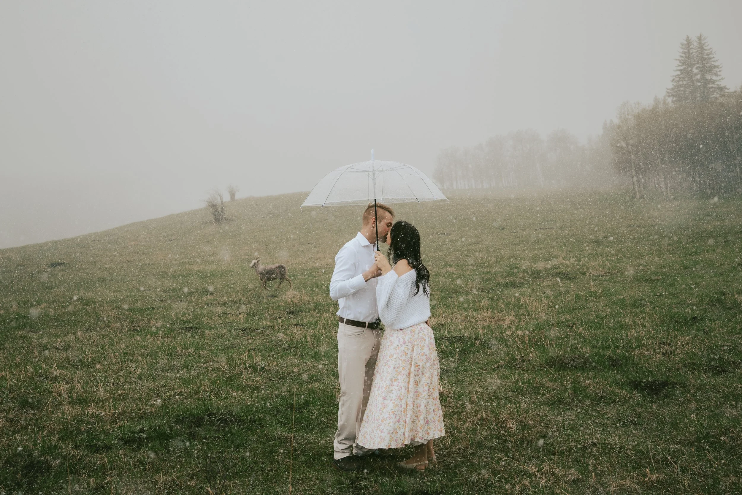 doveandveil.alex&donny.engagements-9.jpg