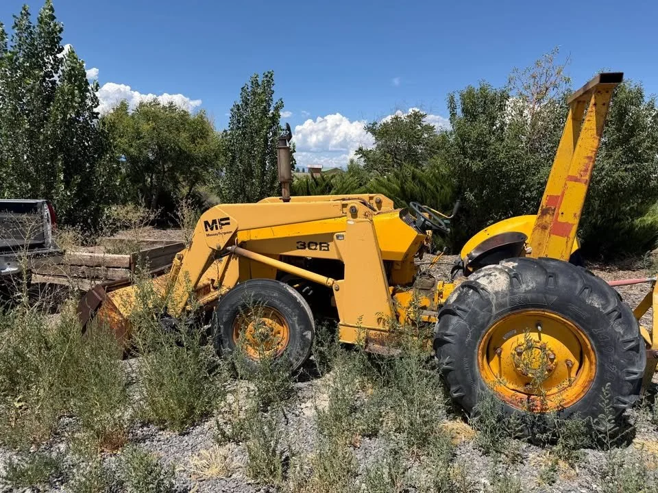A yellow Massey Ferguson 30B tractor abandoned in overgrown weeds outdoors on a sunny day.