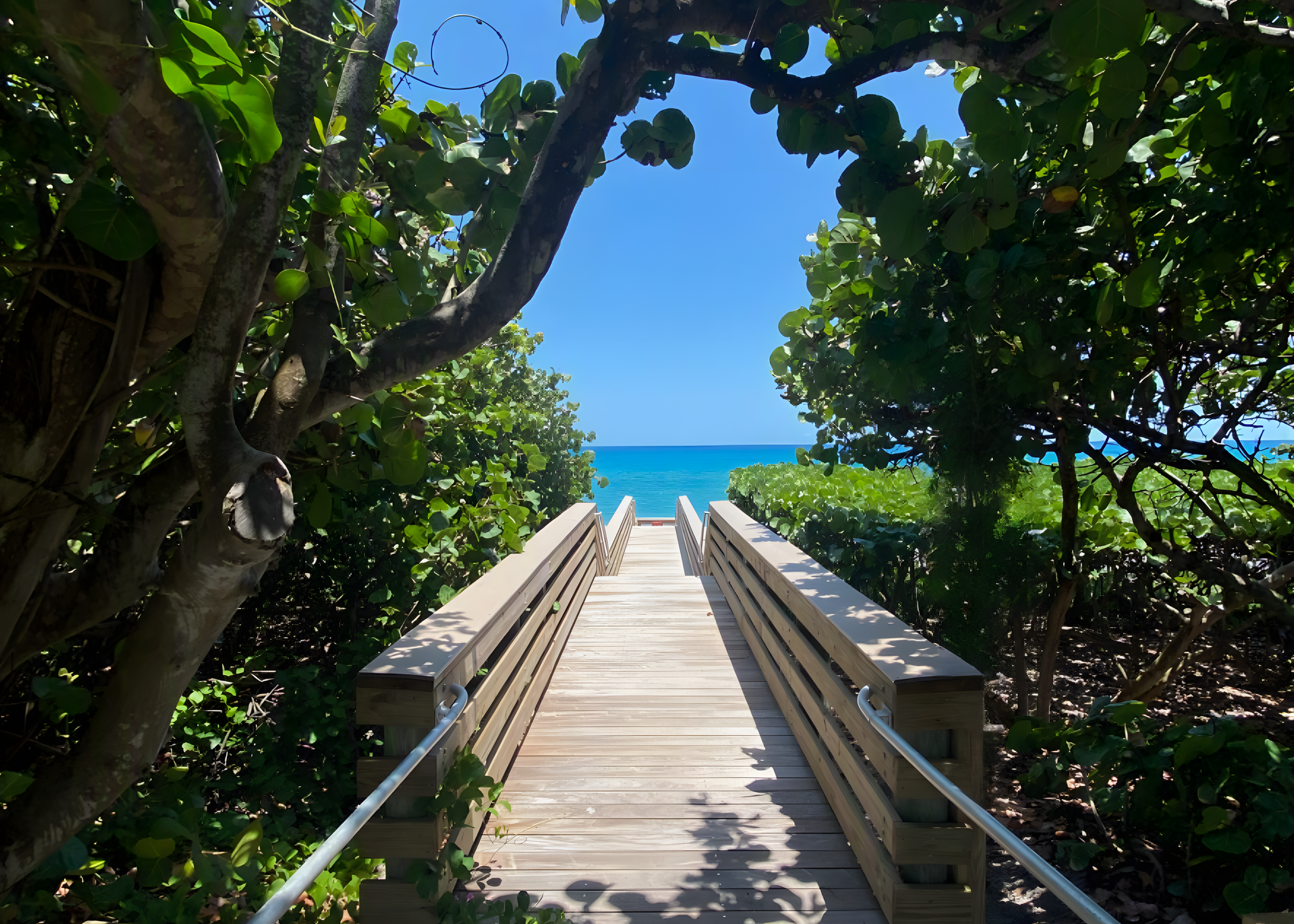 Wooden pathway leading through dense green foliage toward a view of the ocean and clear blue sky.