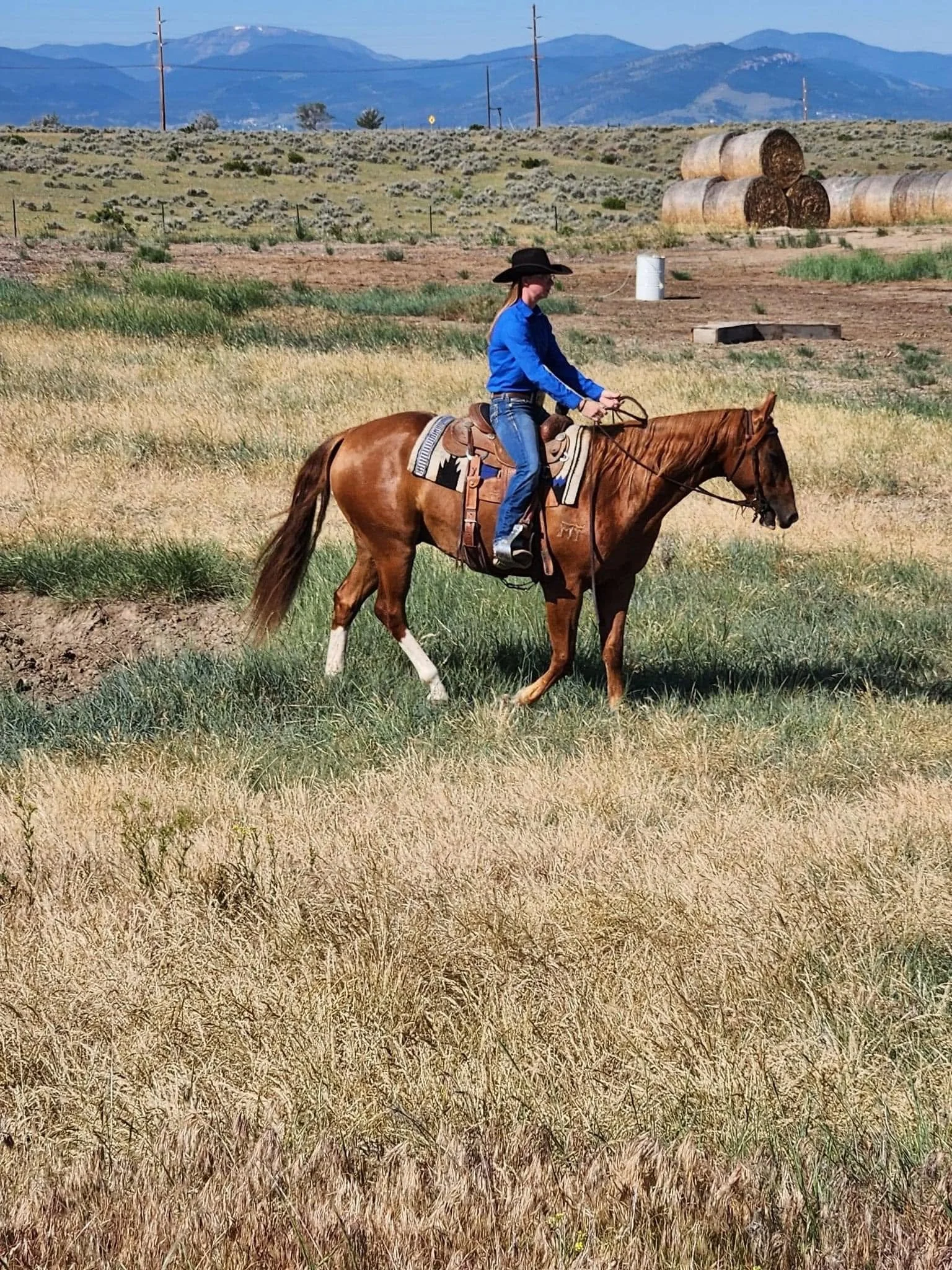 MT Diggin Poco Lena - SOLD