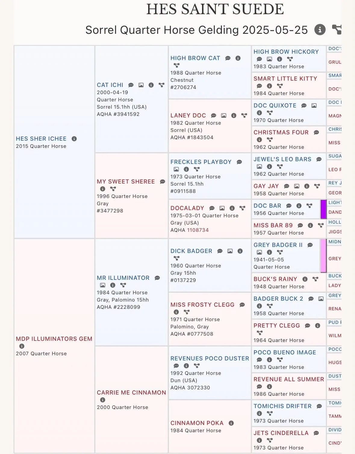 747761418_1970783560243618_4288725415340767747_n.jpg