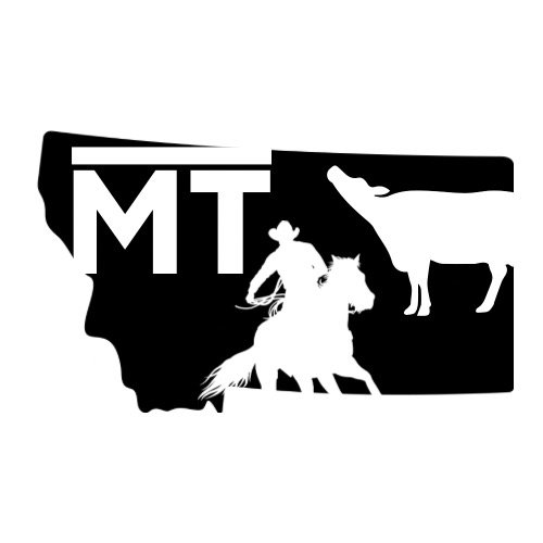 Bar MT Ranch Horses LLC