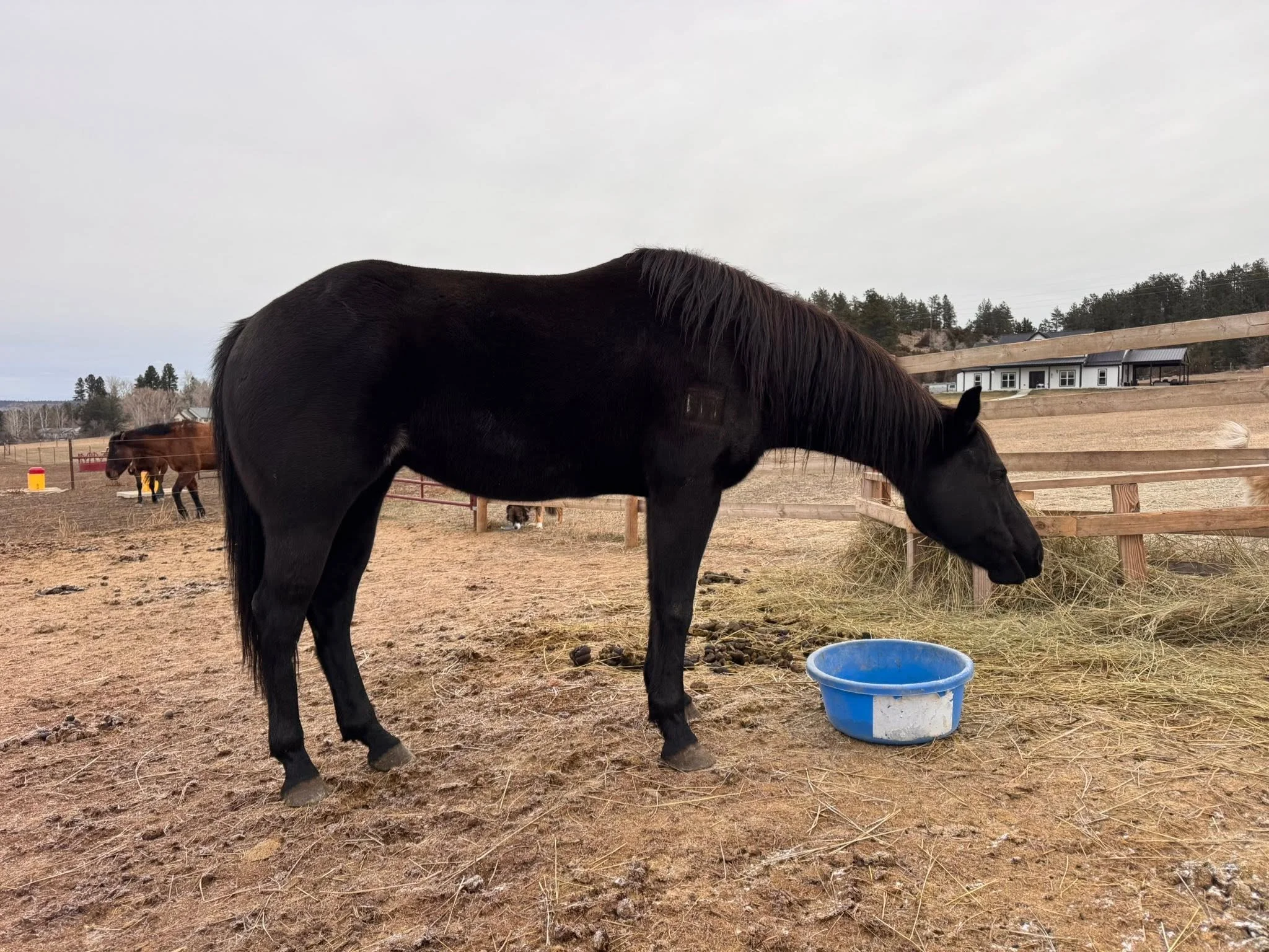 600330060_825191150383557_5990988586582637535_n.jpg