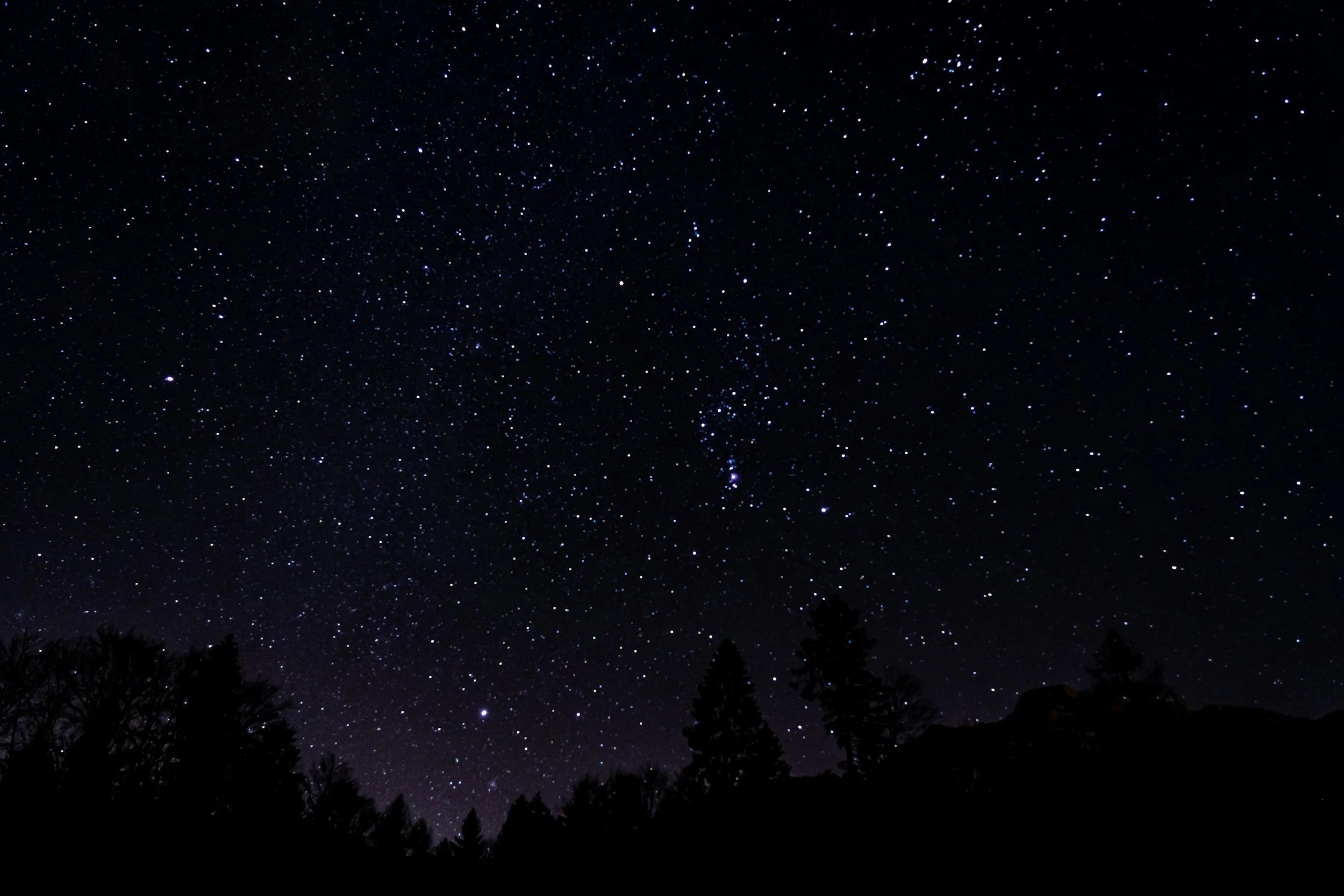 Night sky filled with numerous stars over a silhouette of trees.