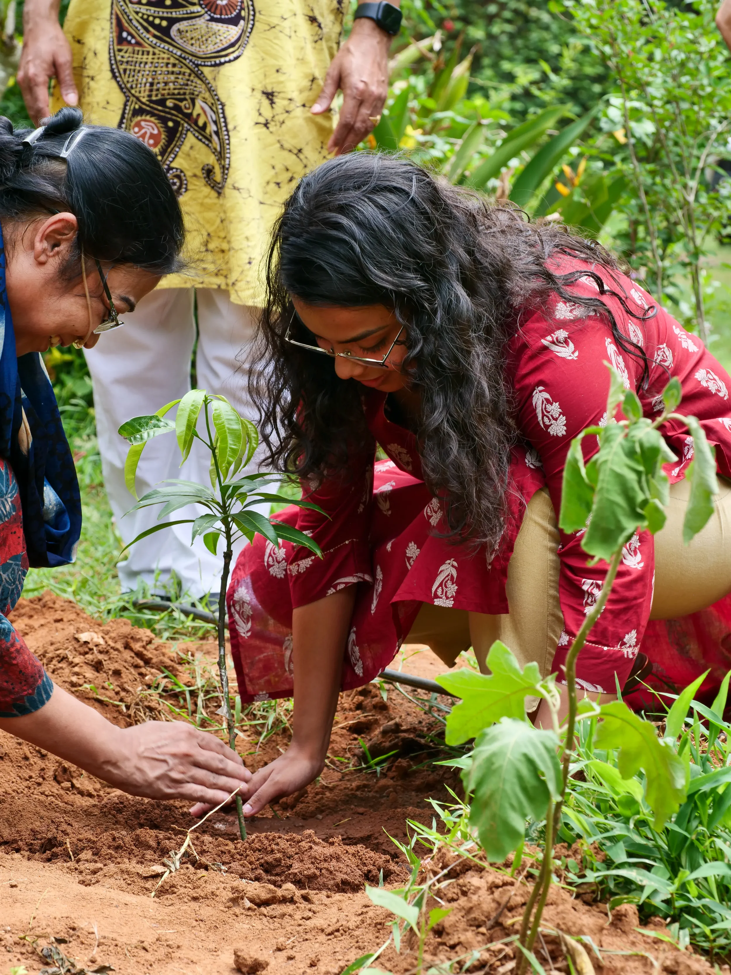Two women planting a young tree in the soil while a man stands nearby, all outdoors in a lush green area.