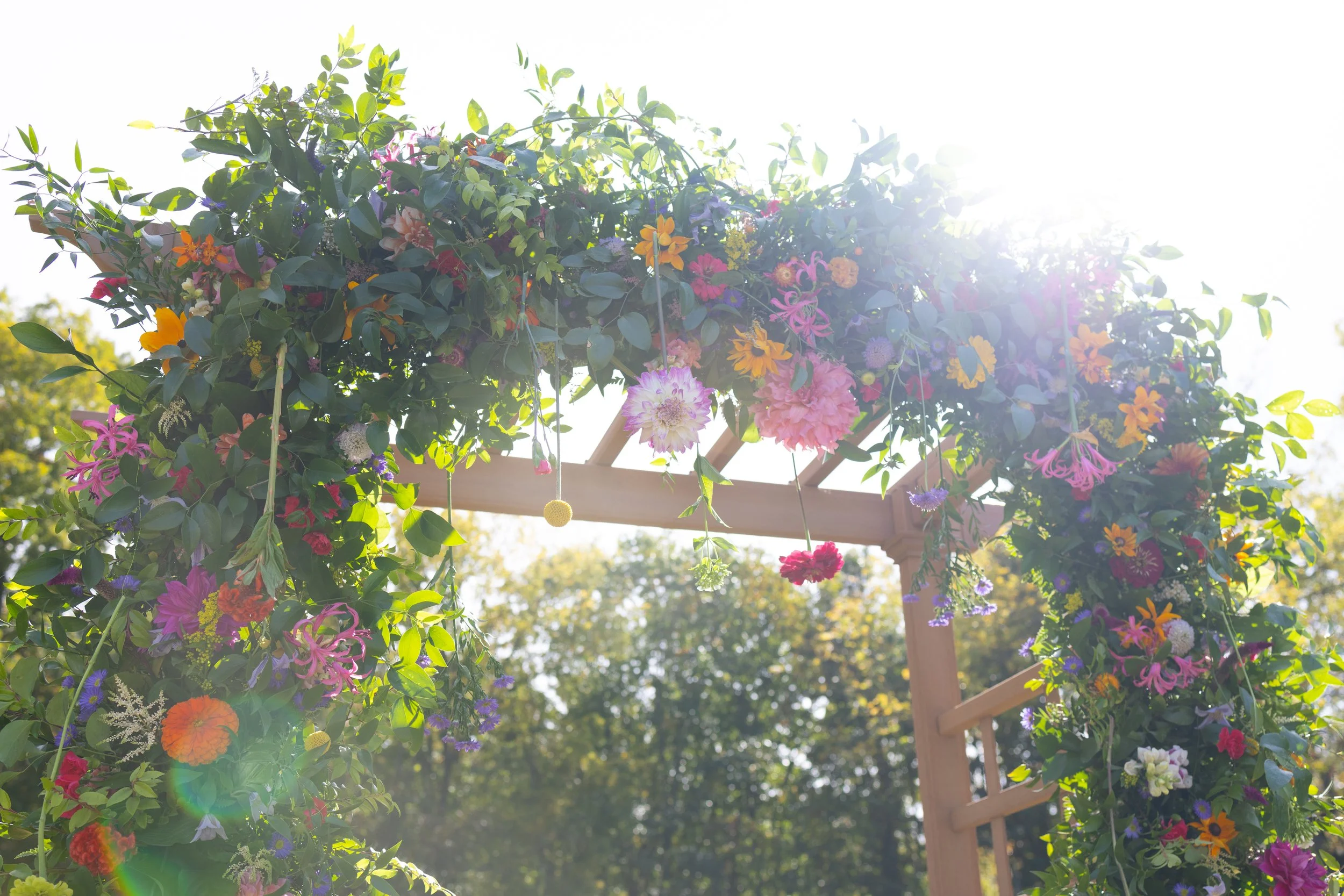 Colorful flowers and greenery hanging on a wooden arch outdoors, with sunlight and trees in the background.