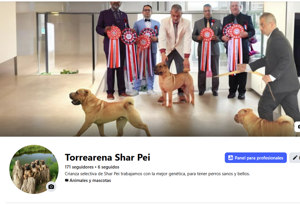 Facebook Torrearena Shar Pei