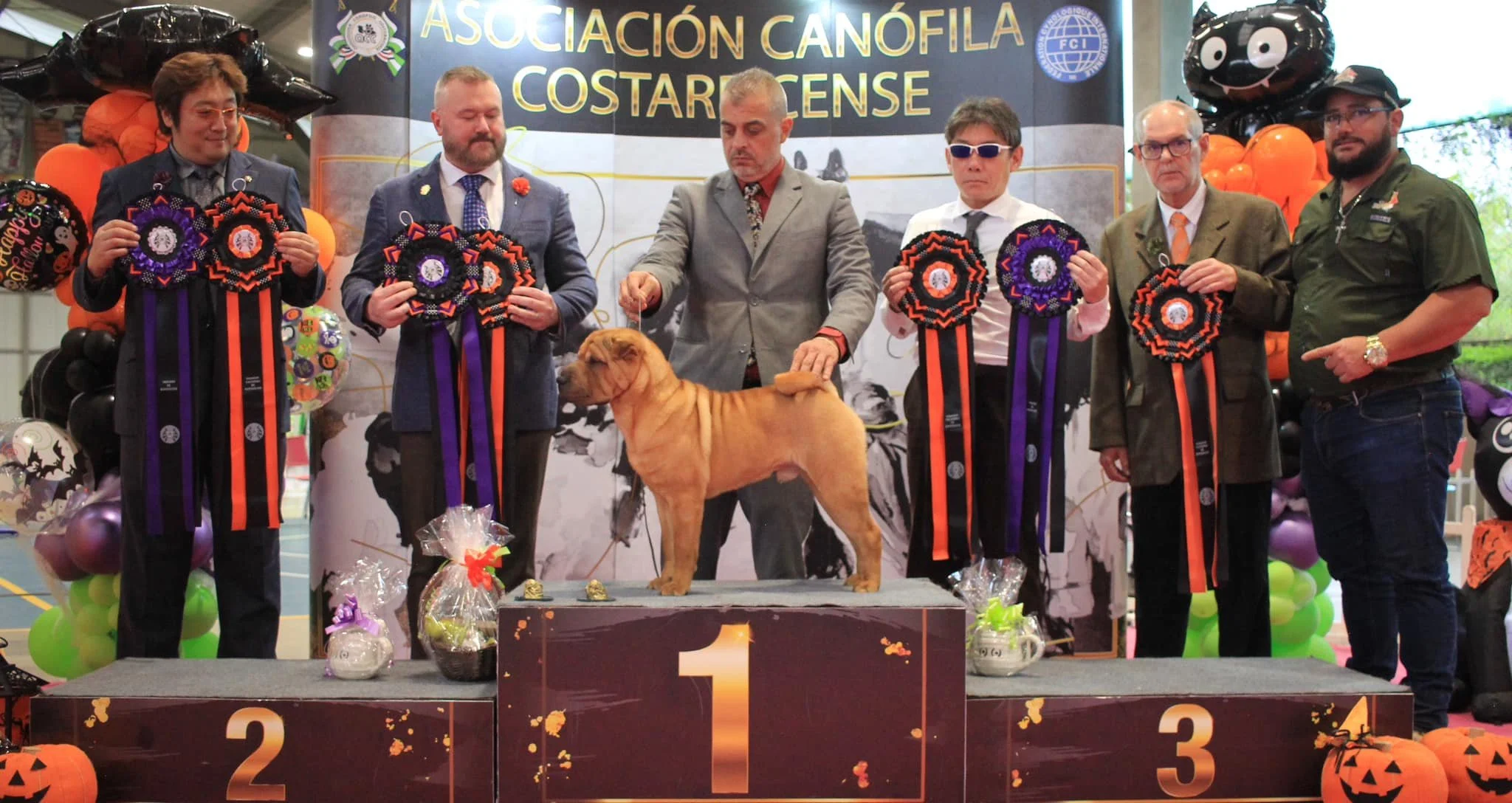 Roman cachorro 2023.jpg
