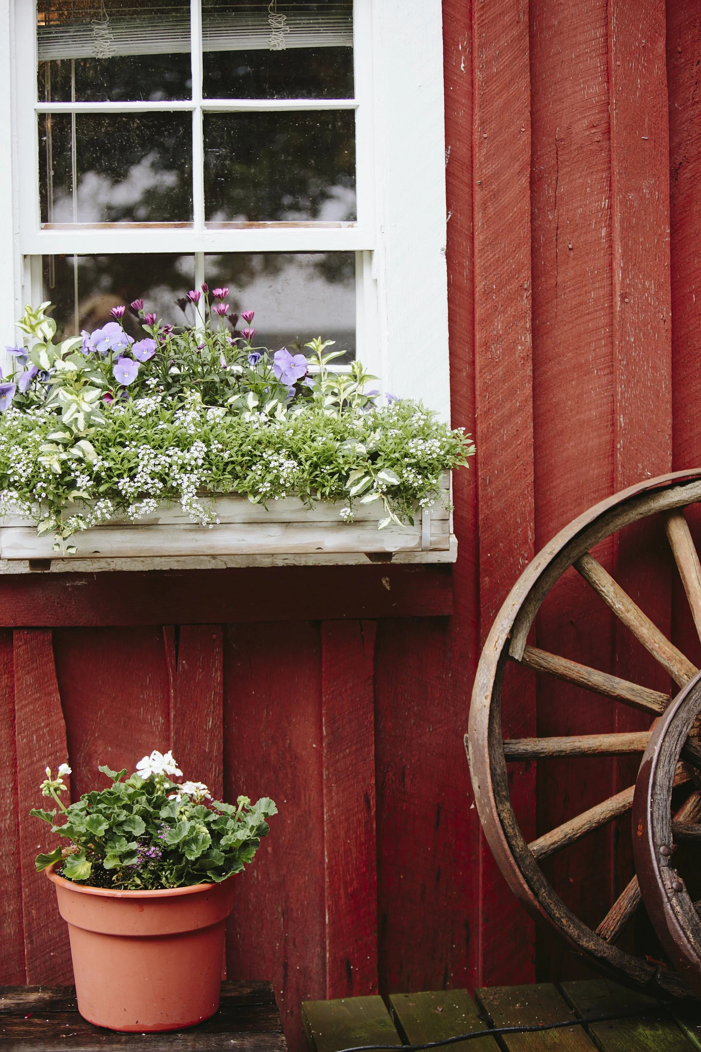 Flower window box with purple, white, and pink flowers on a patio in front of a red wooden wall, with an old wooden wagon wheel leaning against the wall, and a smaller potted plant on the wooden patio.