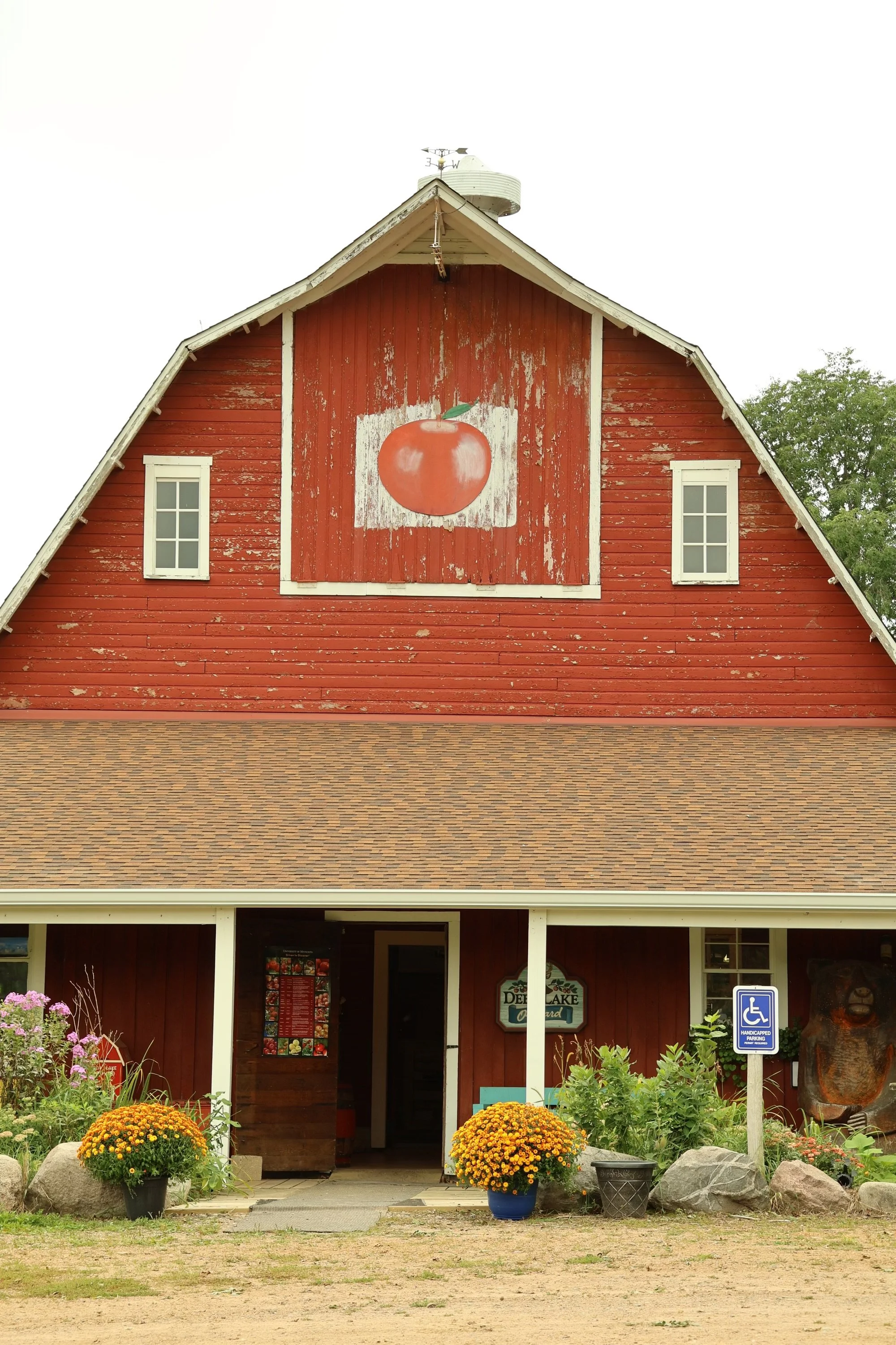 The front of a rustic red wooden building with a large painted apple on the upper part of the facade. The building has white-framed windows, potted plants, yellow-orange chrysanthemums, and a sunny porch area. There is a handicapped parking sign in front.